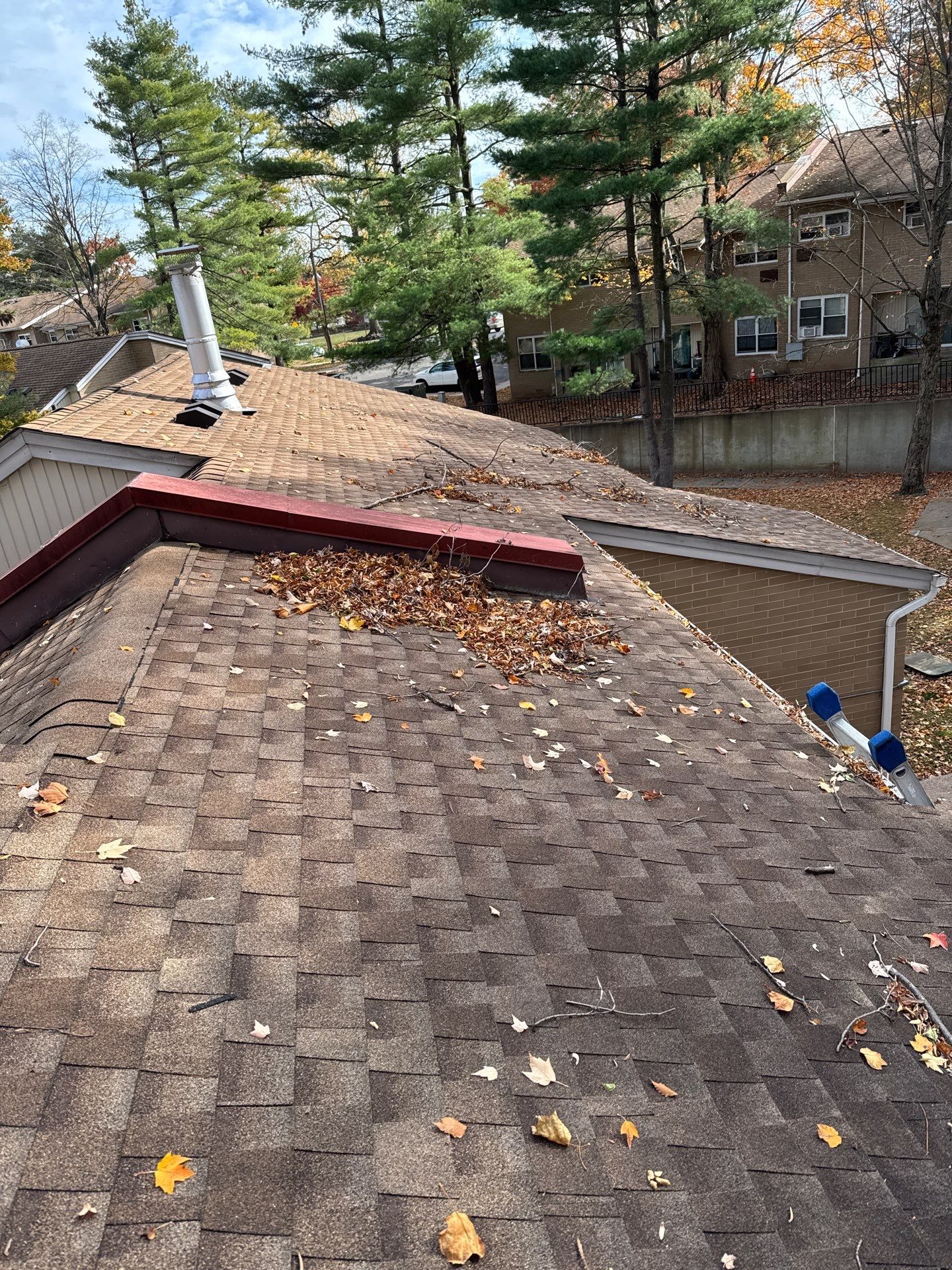 Roof Cleaning in Plainfield, NJ by Clearview Washing