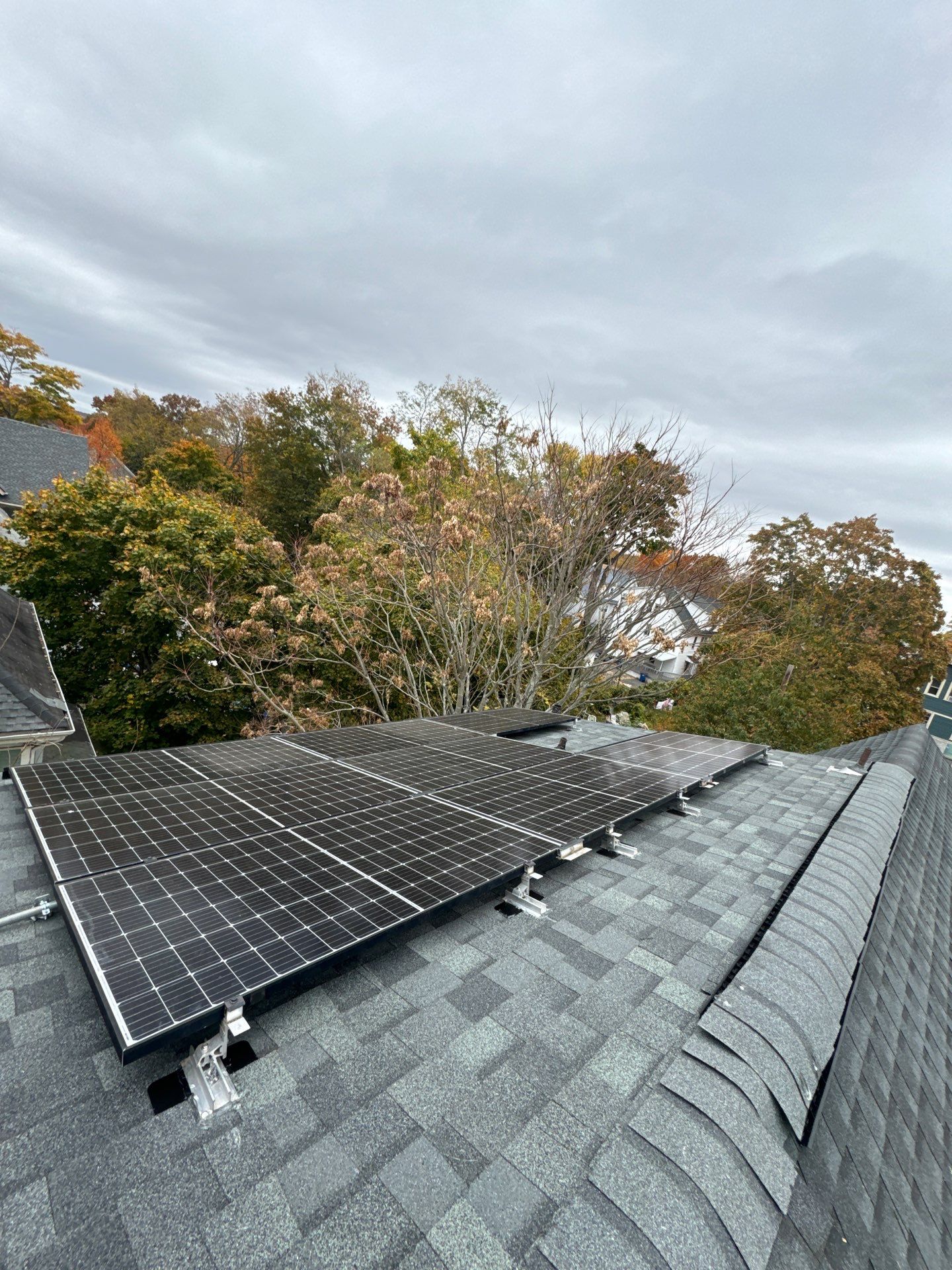 Silver Birch Shingles by Reimagine Roofing