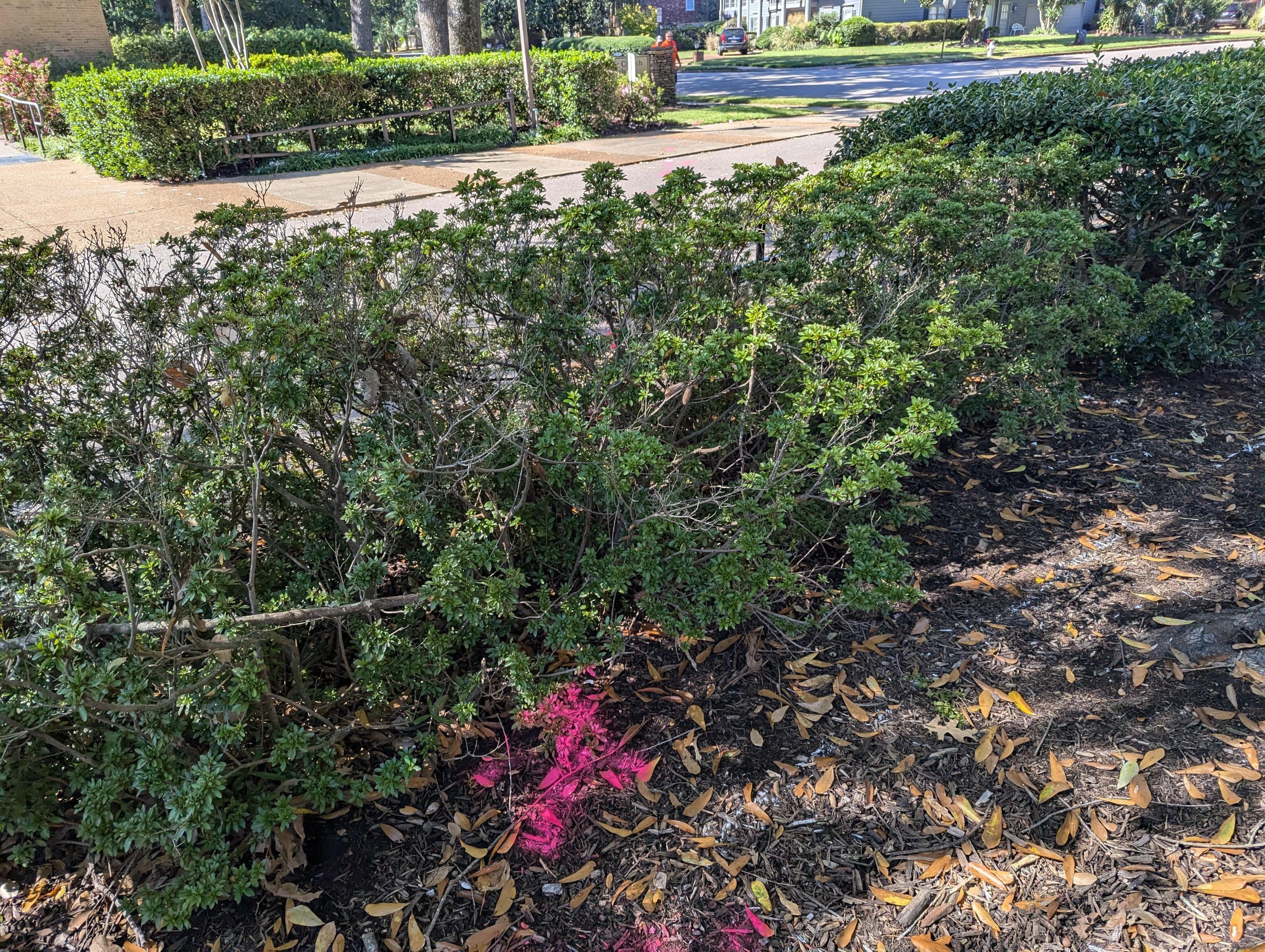 Utility Locating Services / GPR Request by Alsip Locating Service, LLC