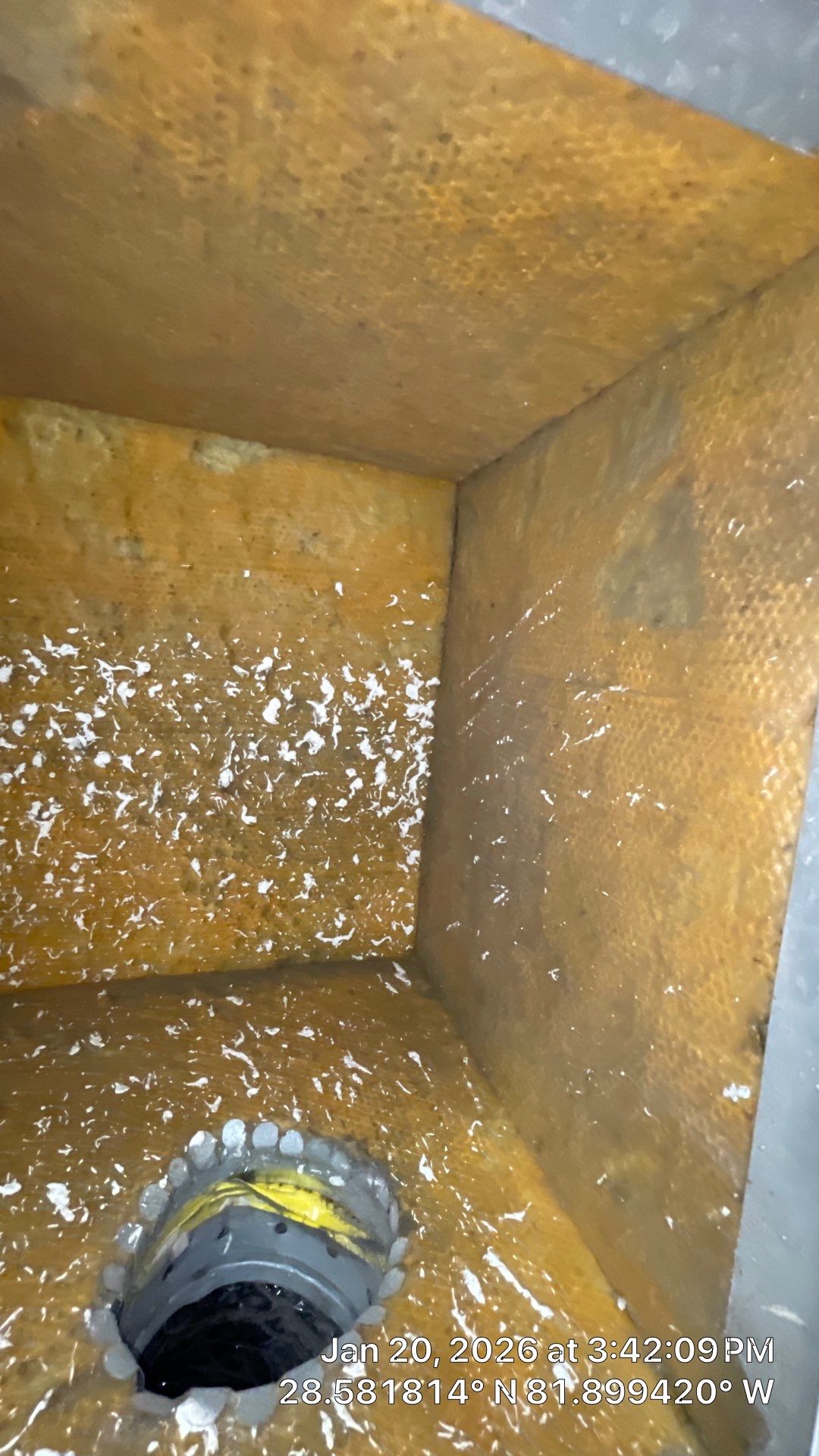 Air Duct and Dryer Vent Cleaning in Mascotte by Hygienic Air, Inc