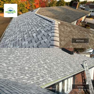 Silver Birch Shingles