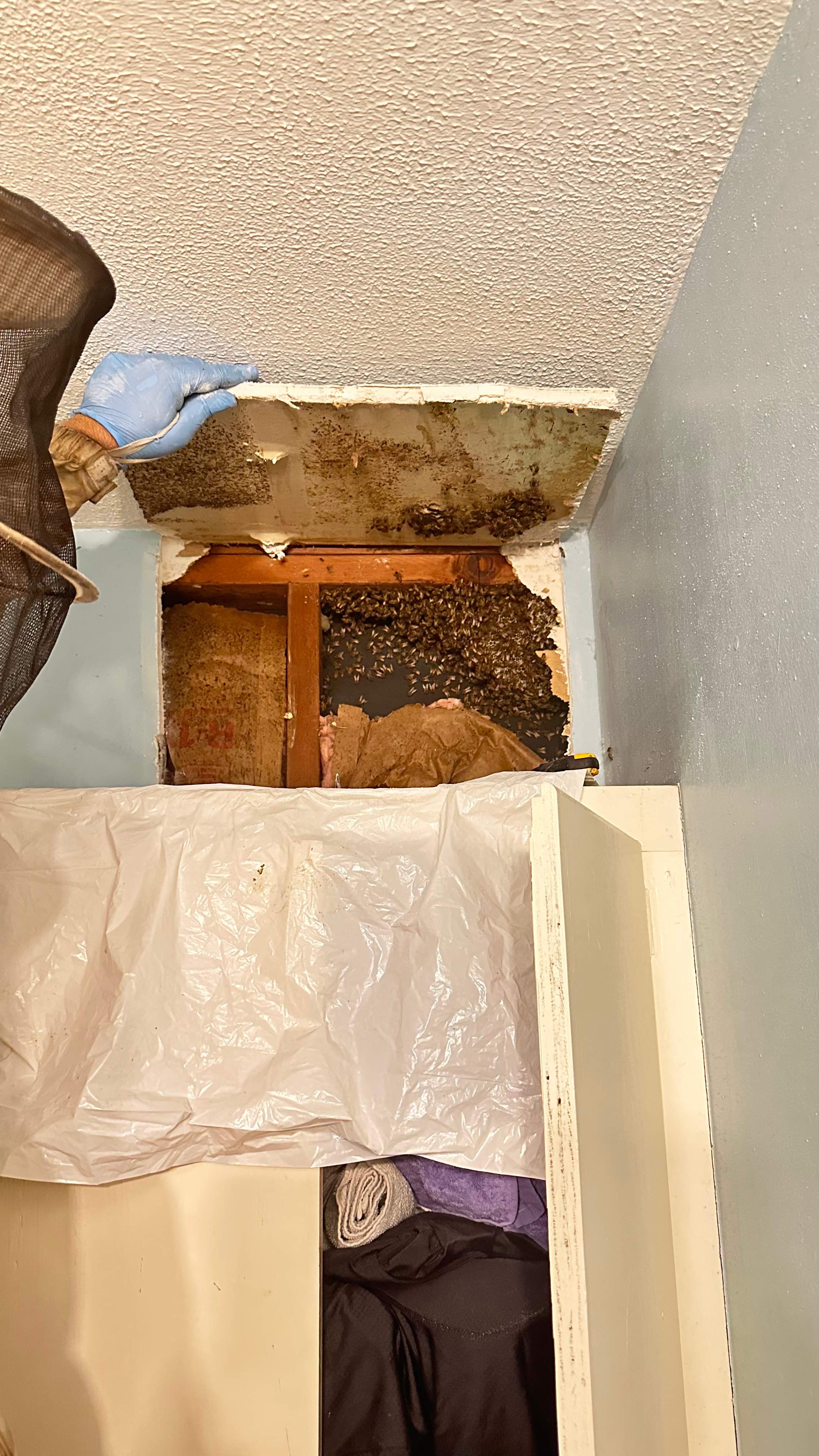 Laundry Room by Rockwall Honey Bee Company