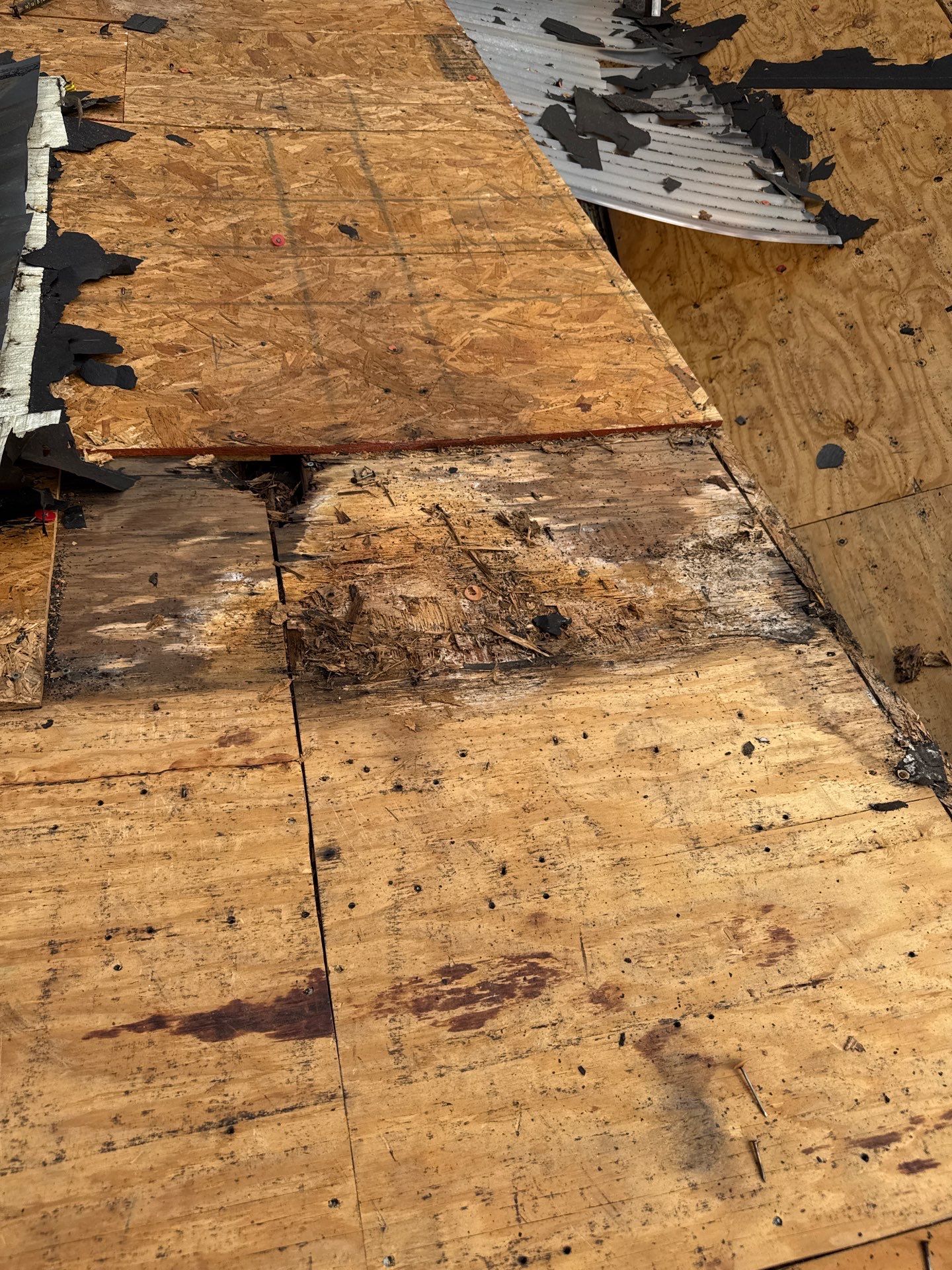 55 Square Titan Natural timber  by Sirius Roofing
