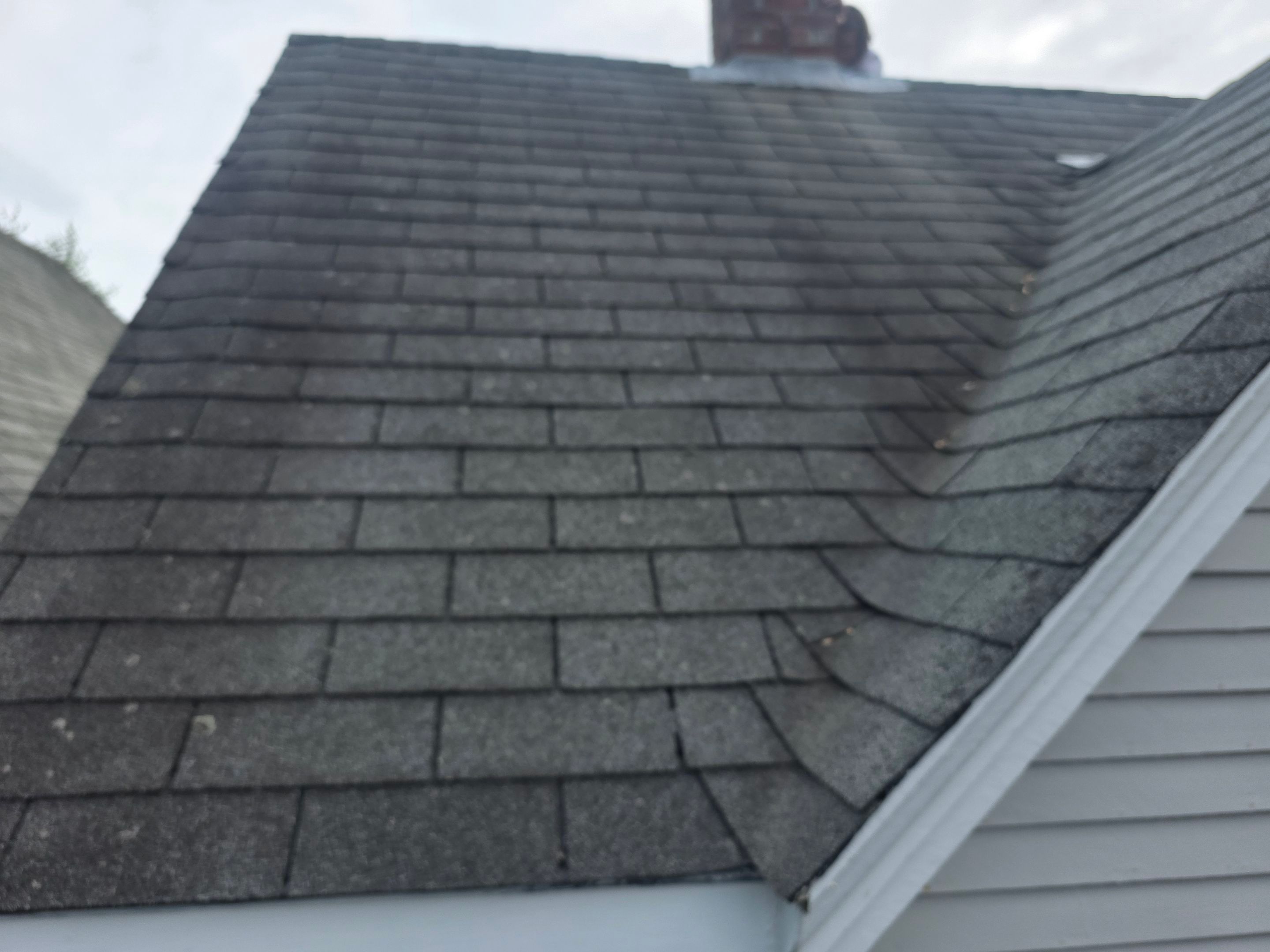 Curtis Cove by The B.A.R Roofing