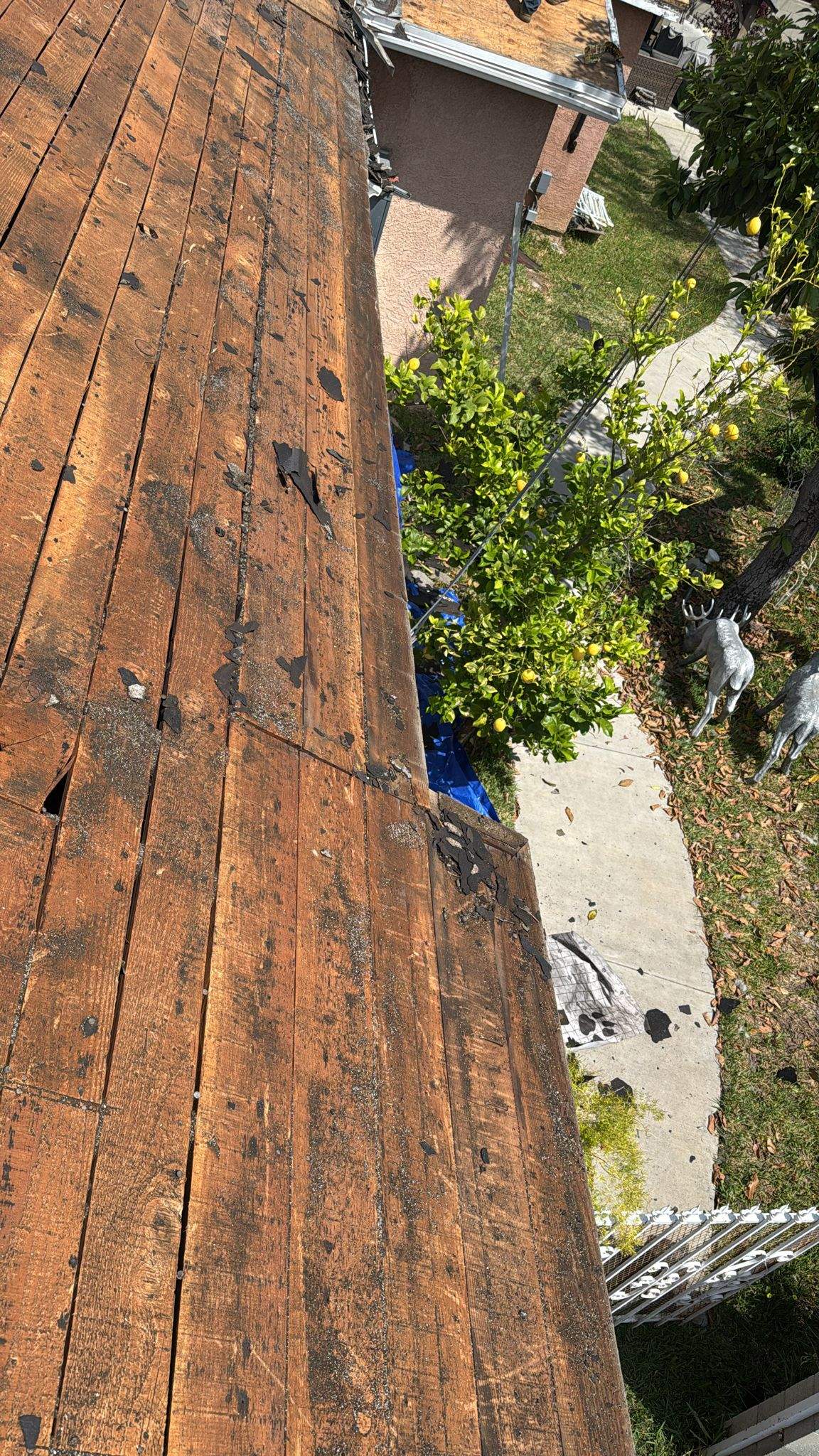 Roof Replacement - 12566 Mineola St by Epic Roof Replacement