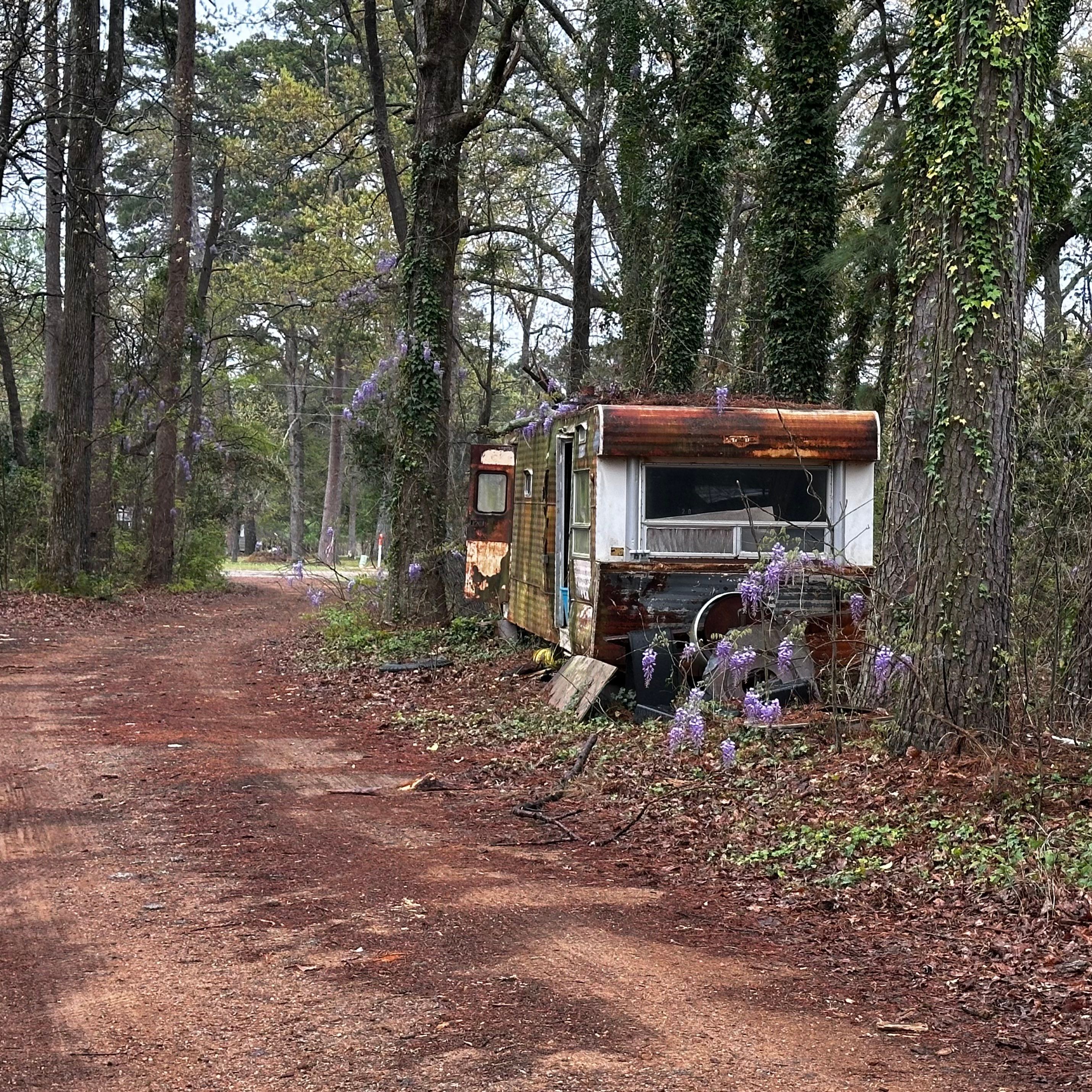 BeeGirl ETX HQ by Rockwall Honey Bee Company