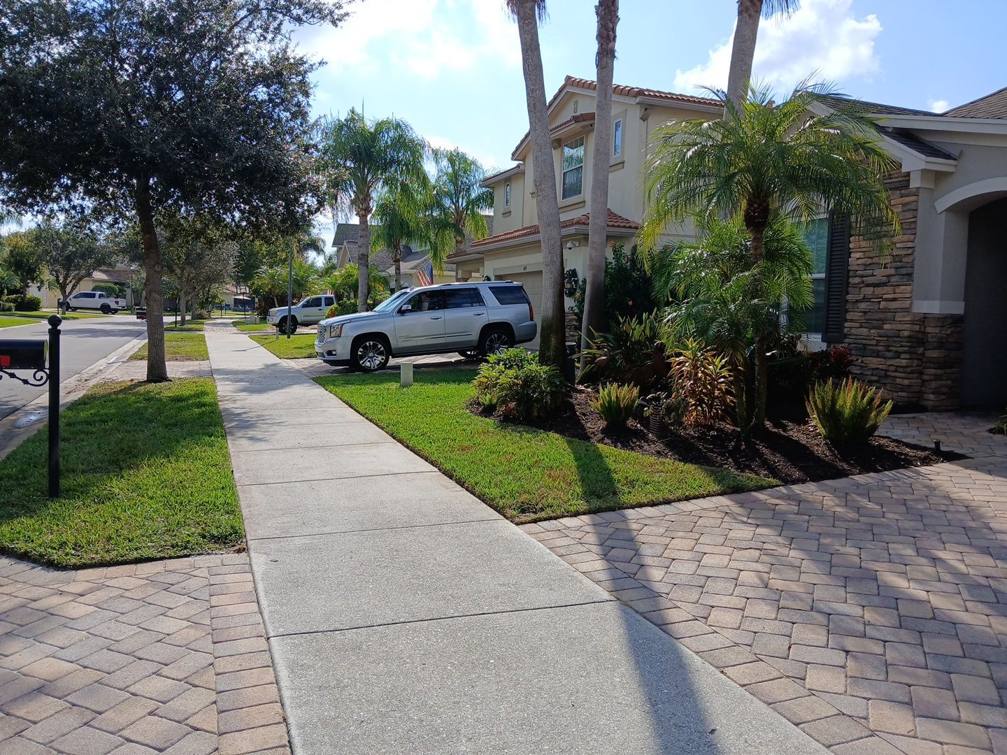 🌿✨ “Snip, Tip & Total Plant Care Bliss” in Palm City ✨🌿 by Alpha Zeta Enterprises Inc