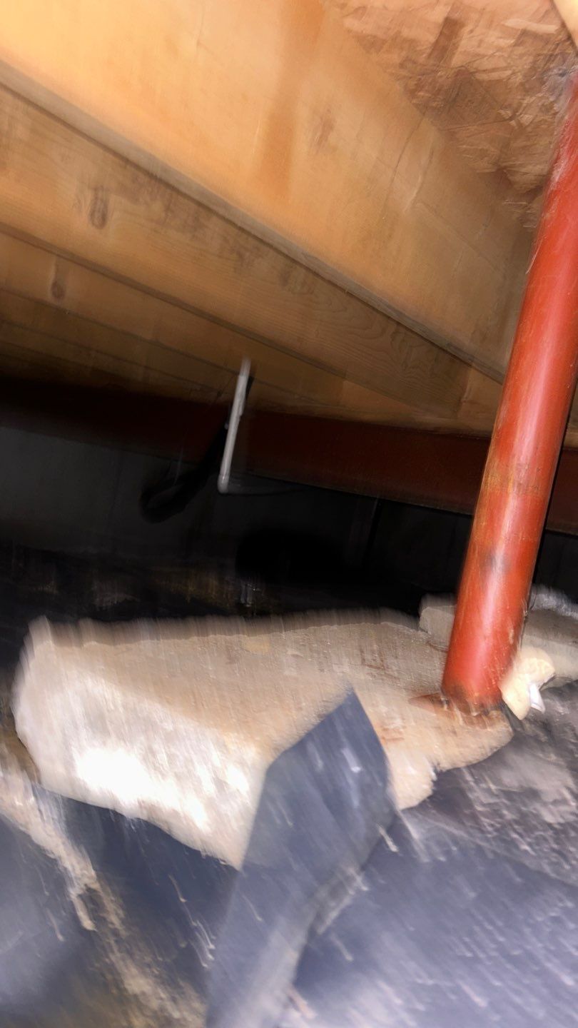 Mold Damage by Accountable Home Services