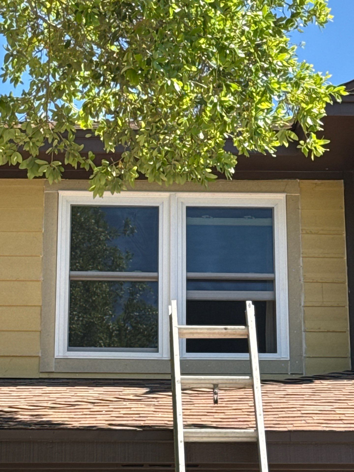 Make that Green, Baby! by Bayfront Roofing and Construction