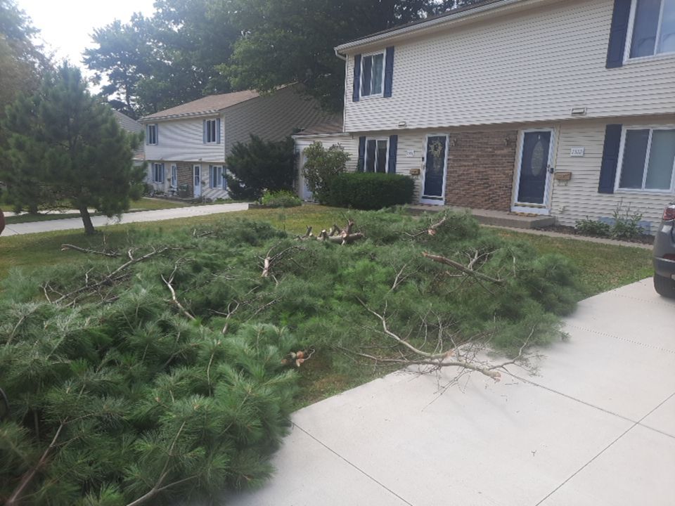Tree Removal using Tree Removal by Mike Jones & Sons Tree Service LLC 