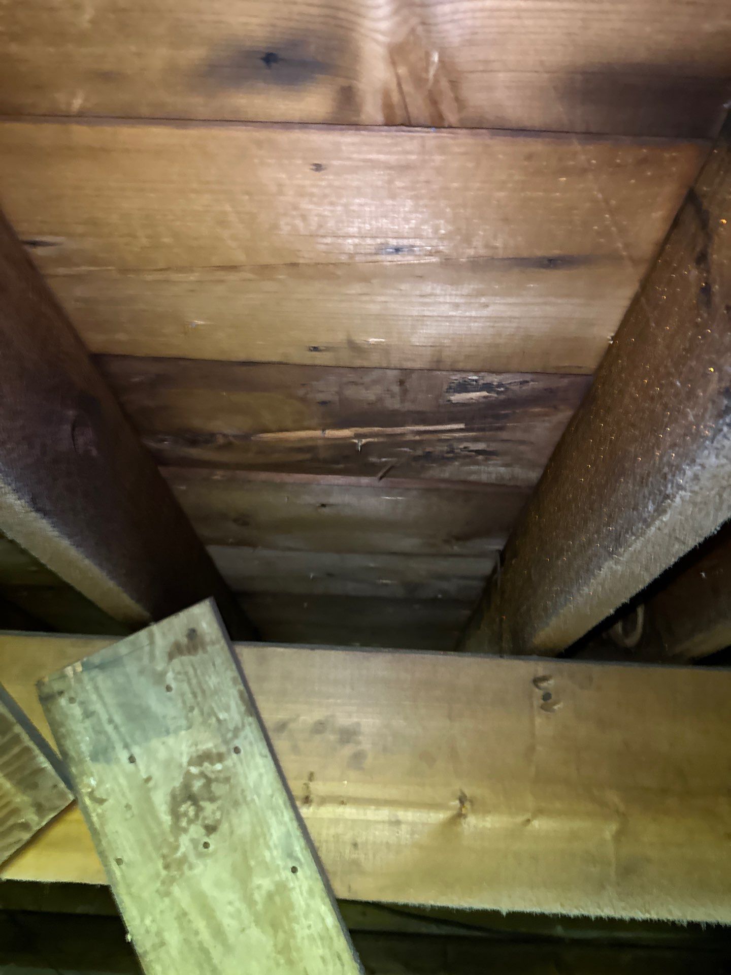 Addressing Attic Moisture, Mold, and Energy Loss in Dillonvale, OH 43917 by Home Environment Solutions