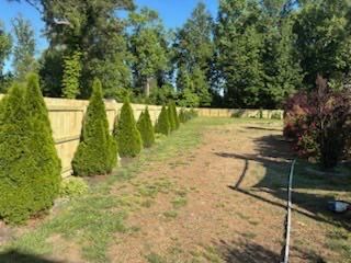 Curb Appeal Begins at the Fence Line by Tidewater Fence