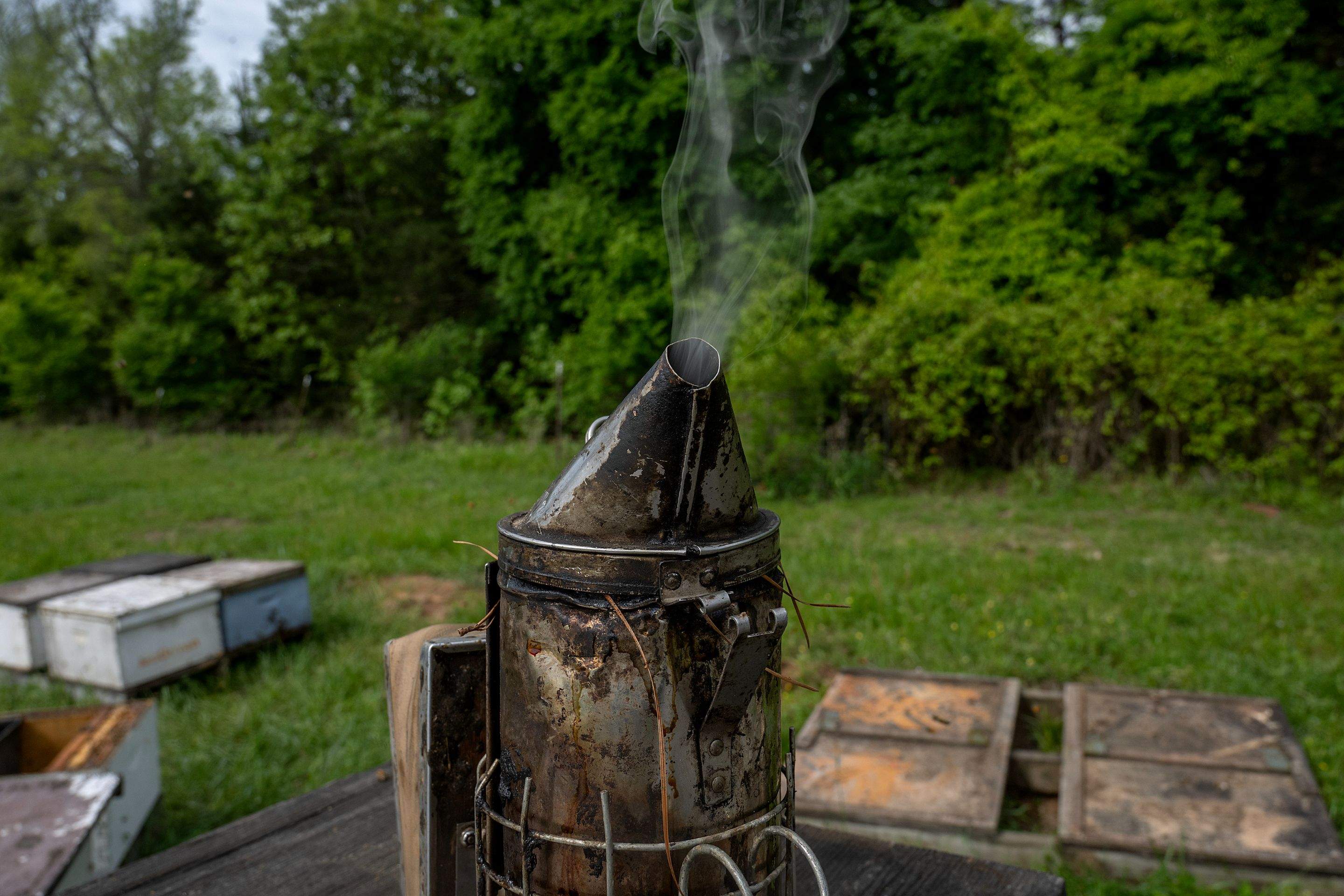 Splits in East Texas by Rockwall Honey Bee Company