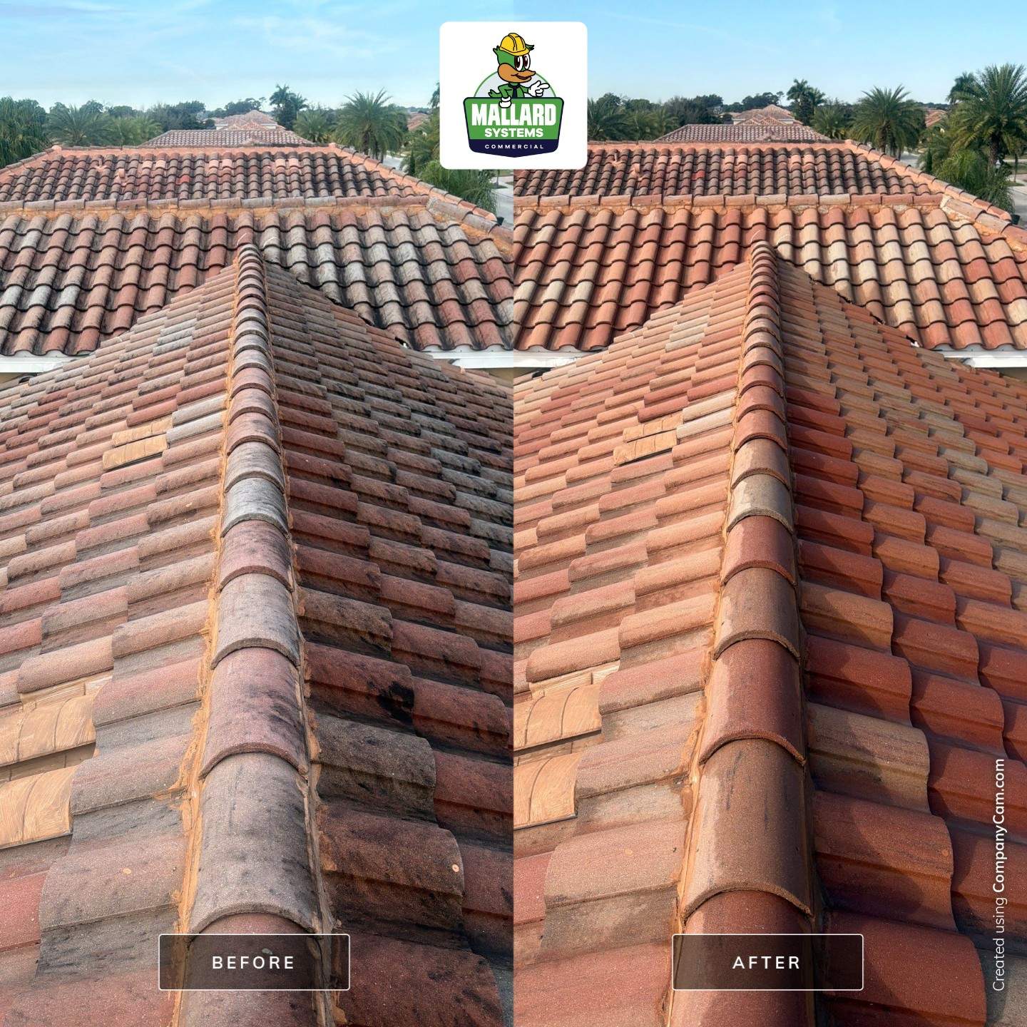 Barrel Tile Roof Cleaning by Mallard Systems