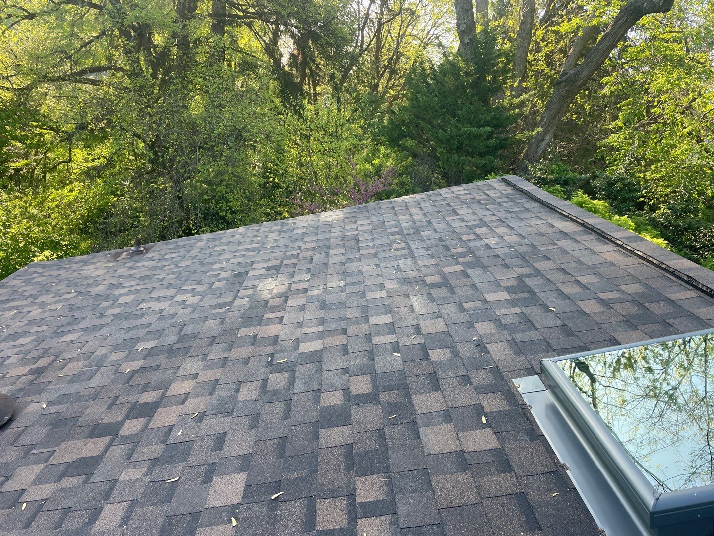 Roof Replacement w/ Skylights in Baltimore, MD (IKO Dynasty) by American Home Contractors