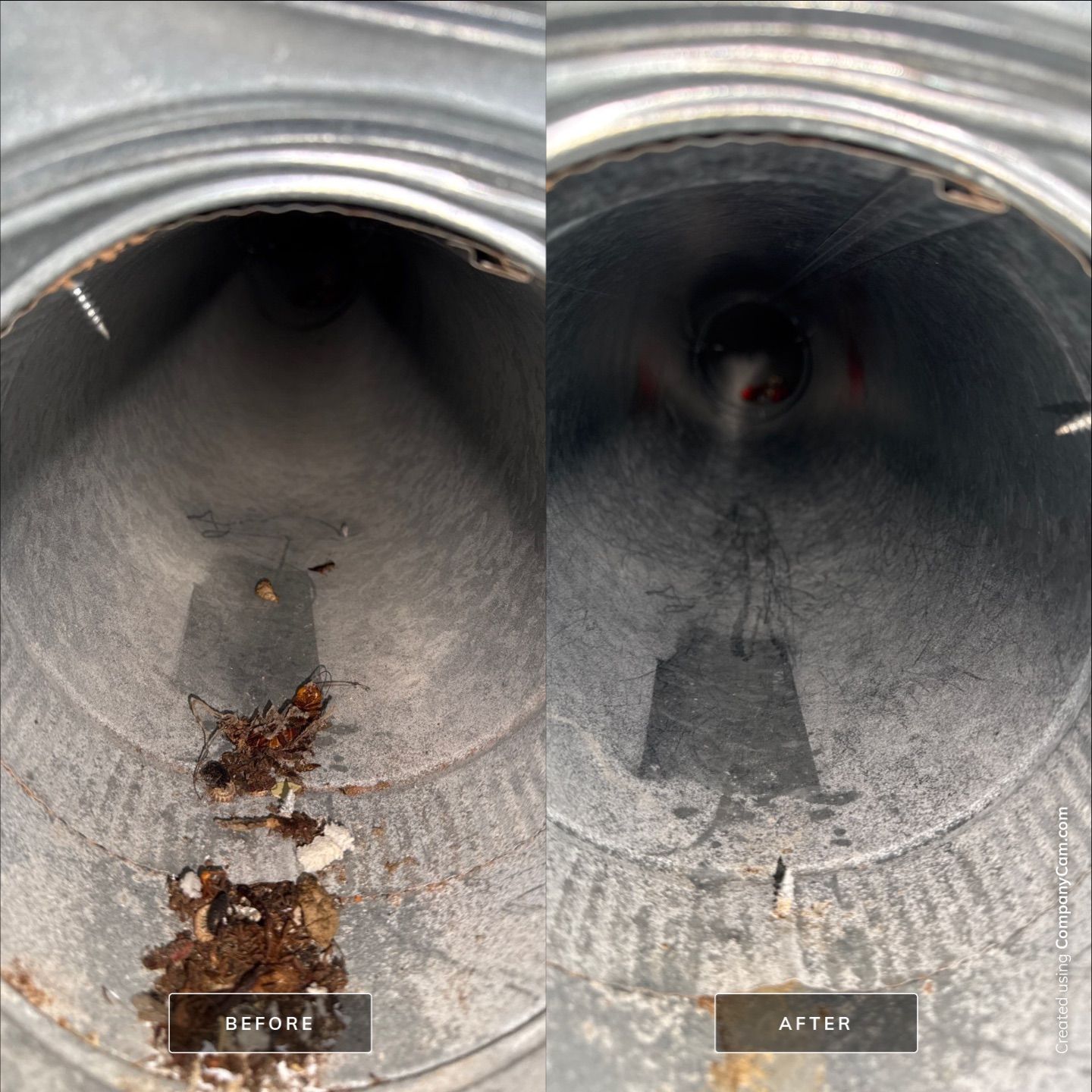Project in Auburn by Voyager Air Duct Cleaning