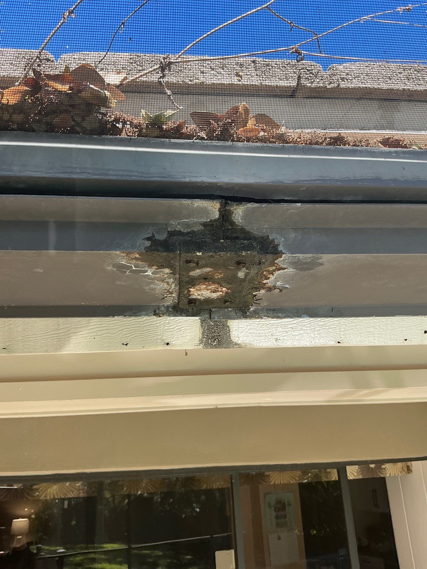 Gutter Repair and Cleaning Gutters in Safety Harbor FL by Gutter Professors