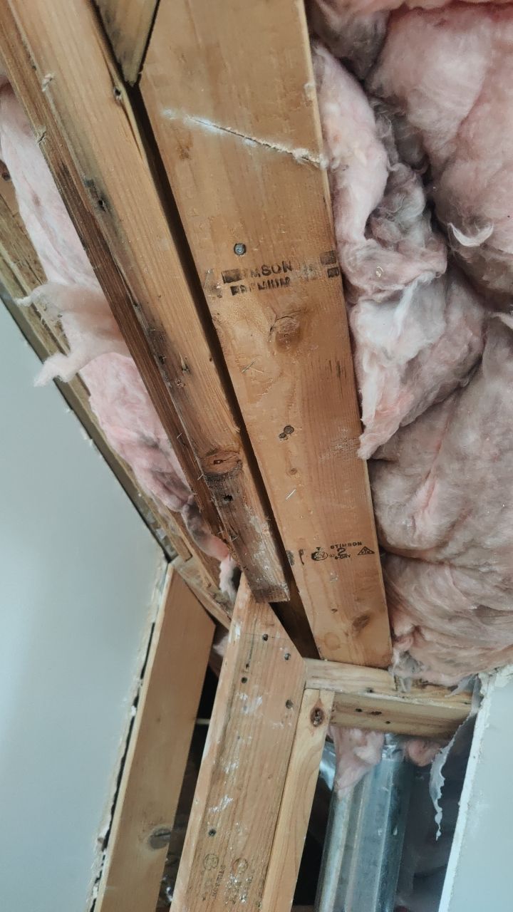 Water Damage by Accountable Home Services