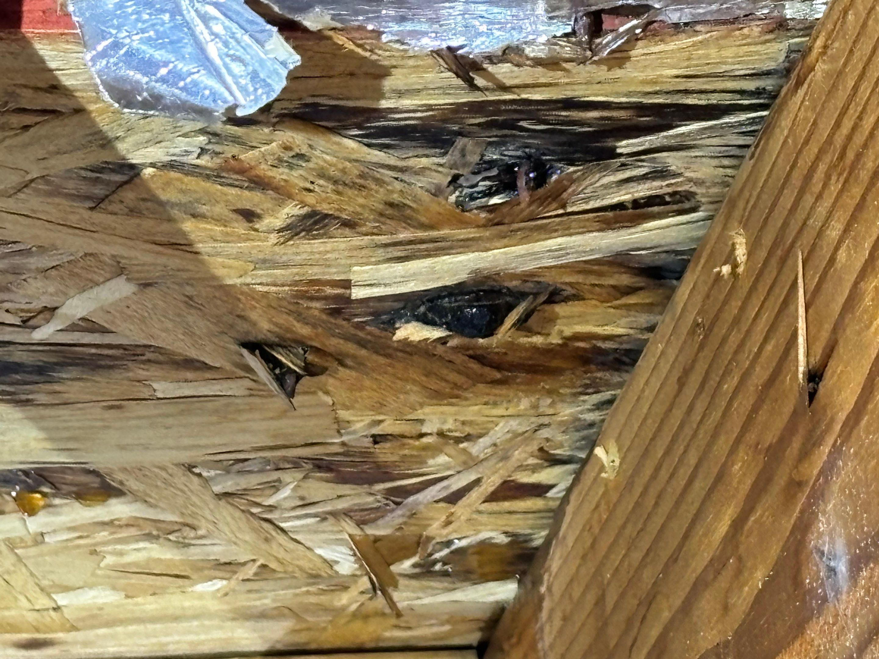 Hail Damage using Owen's Corning Duration (Lifetime) Shingles by Roof Repair Company