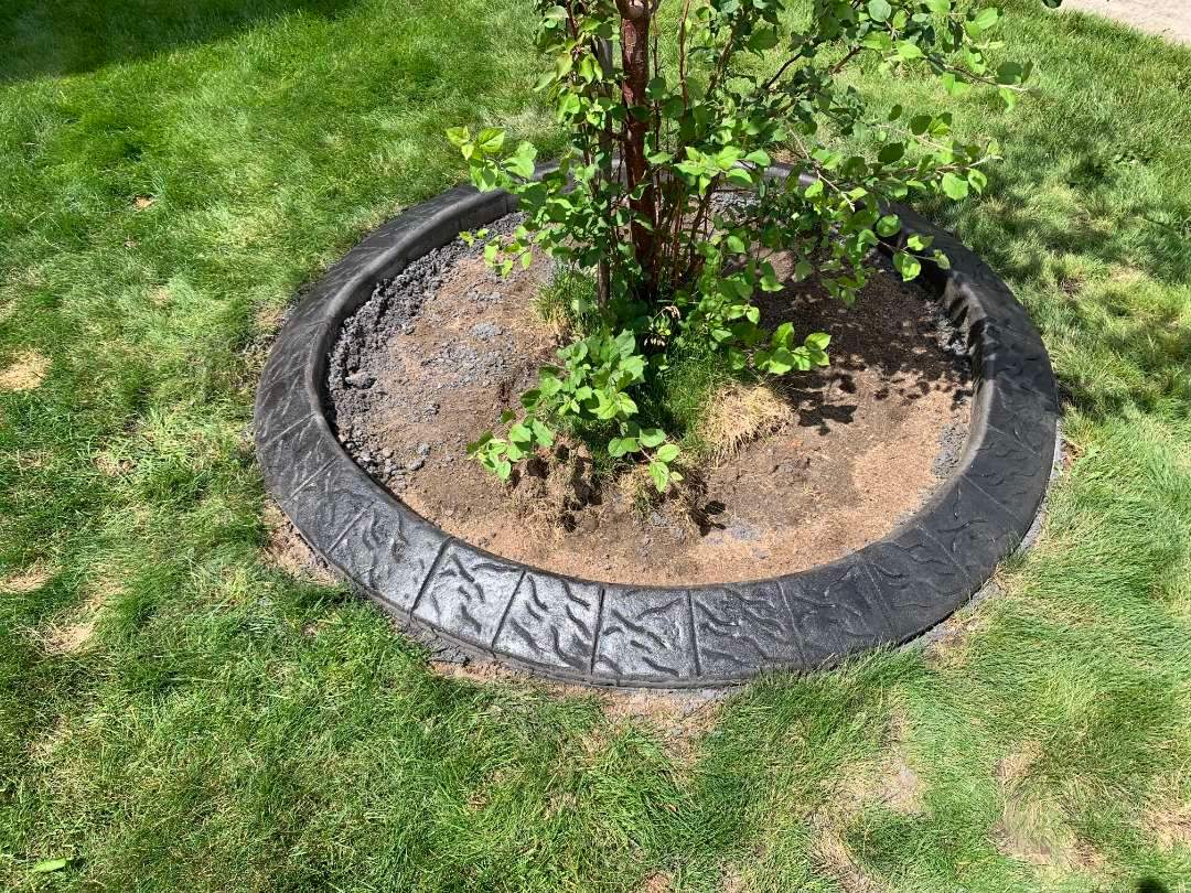 Stamped Concrete Border and Landscape Edging Installation in Medicine Hat