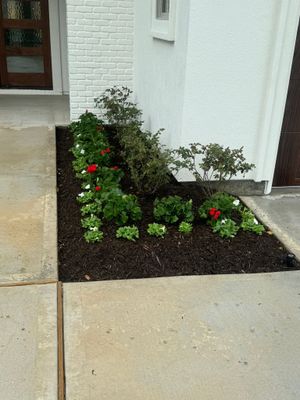 Open House Ready! Daniel Walldrop's Front Yard Flower Bed Makeover! 🏡🌿