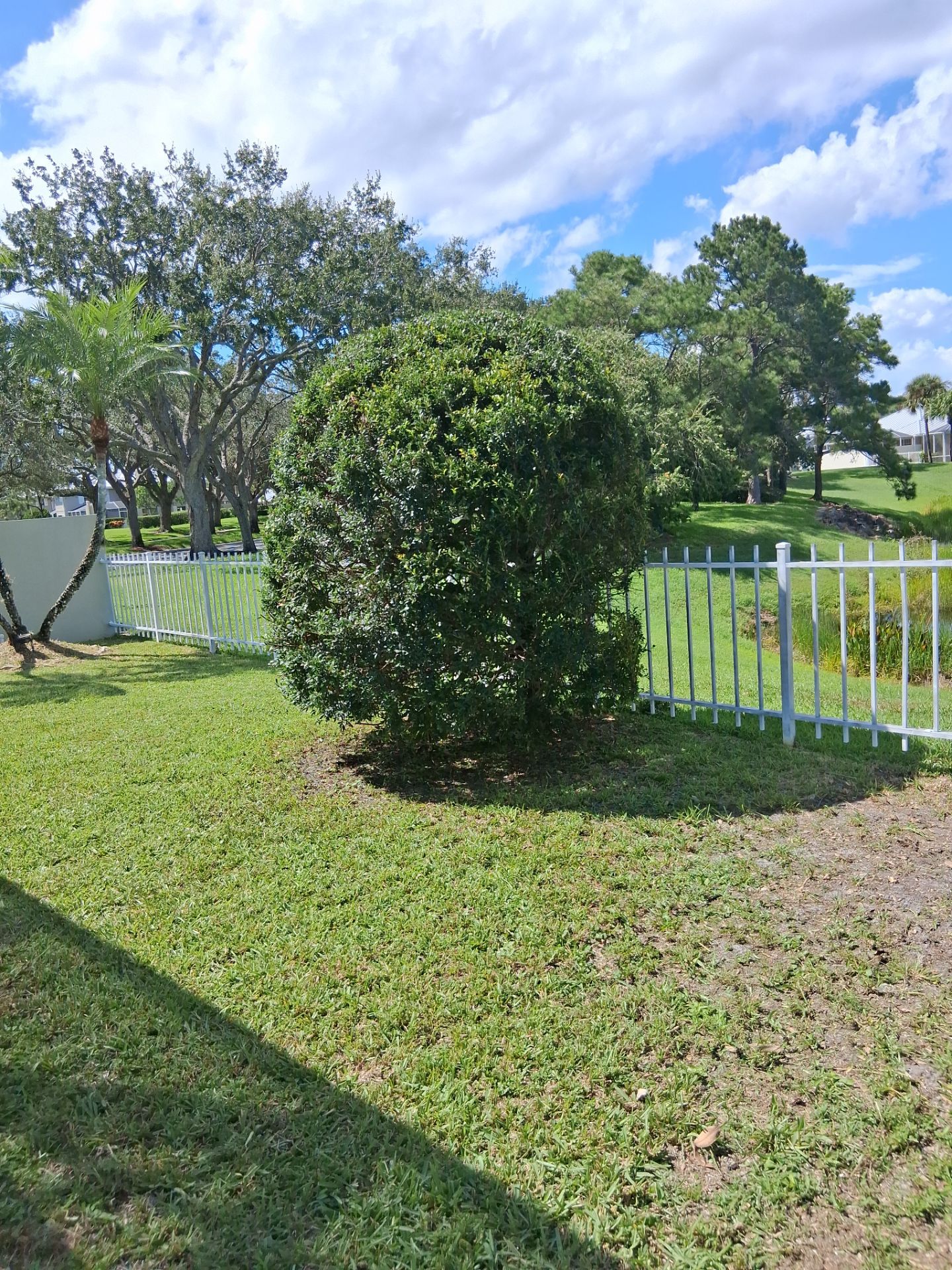 🌱 Evergreen Residential Cleanup — Palm City by Alpha Zeta Enterprises Inc