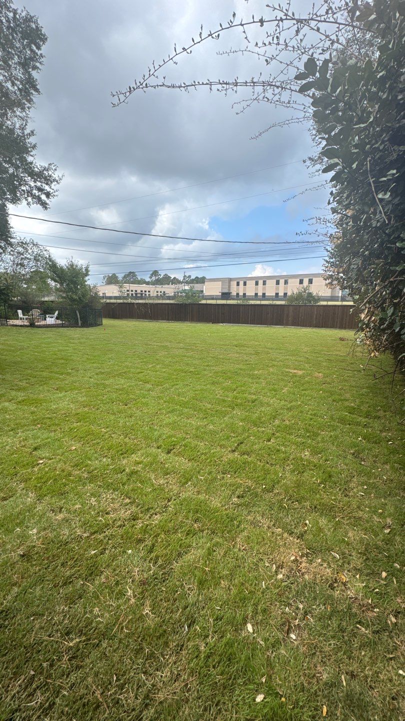 Mr. Jeff — Backyard Drainage & Grading Improvement by Texas Urban Elements