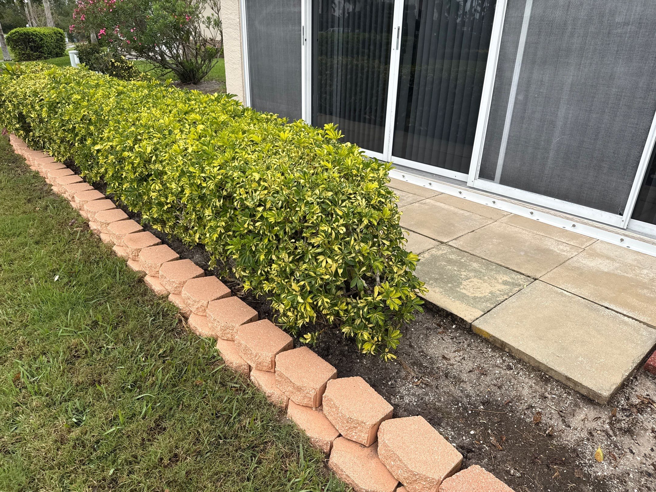 🚤 Captain’s Court Condos Exterior Cleaning – Terra Ceia, FL by Sunshine AquaWash