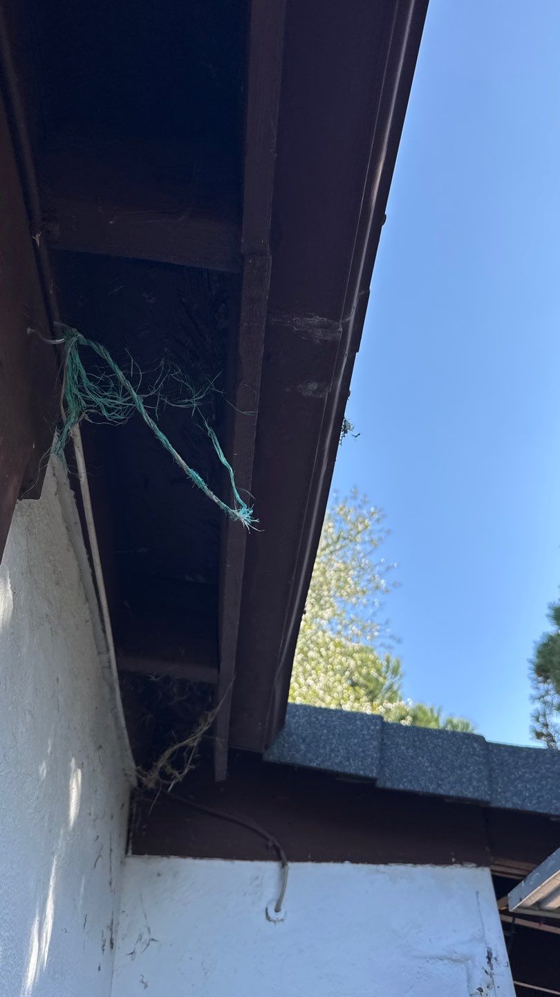 Project by NuLead Construction Inc by NuLead Construction Inc