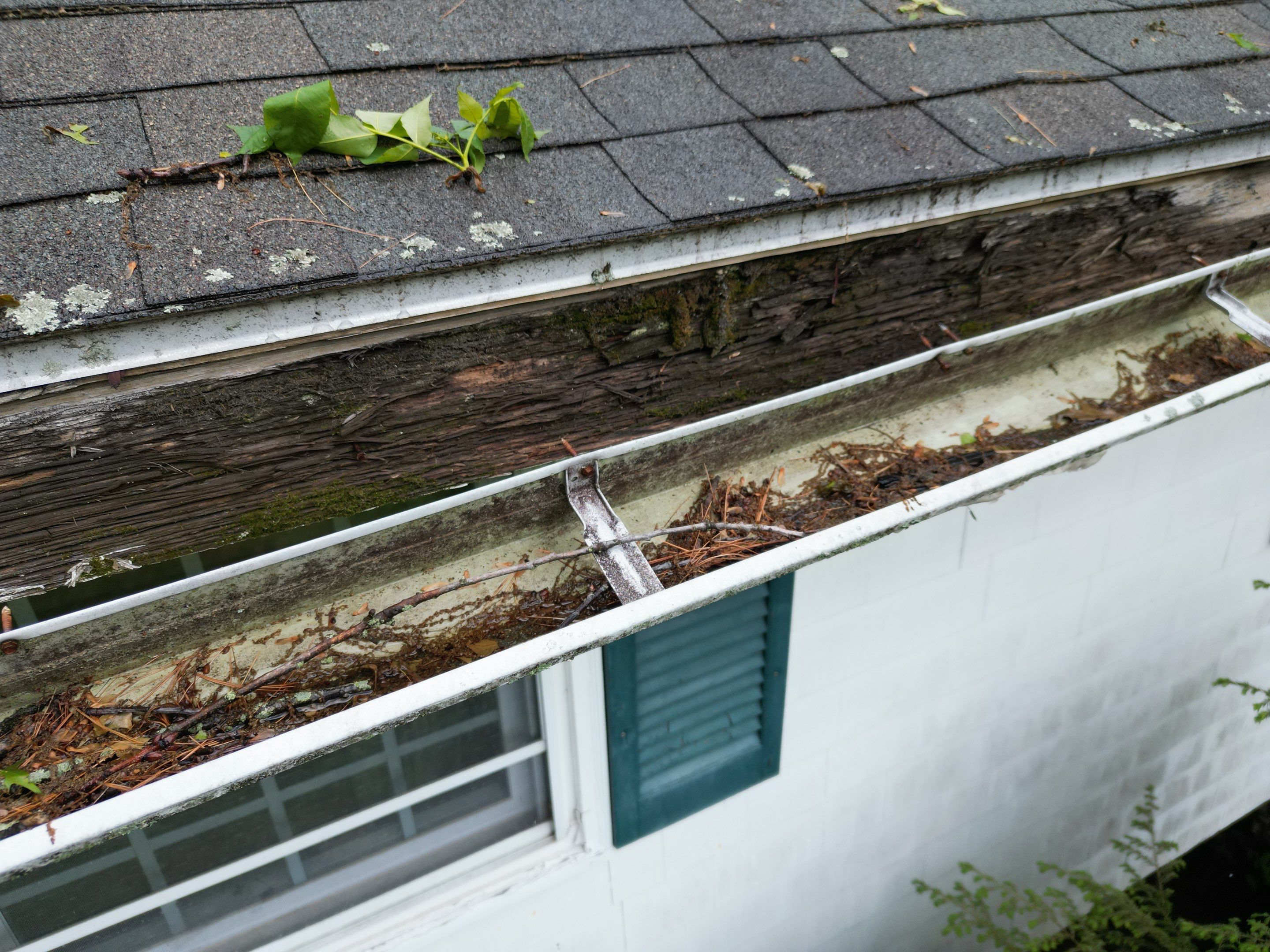 Roof & Exterior Renovation – Chelmsford, MA by Mighty Dog Roofing of Greater Middlesex County