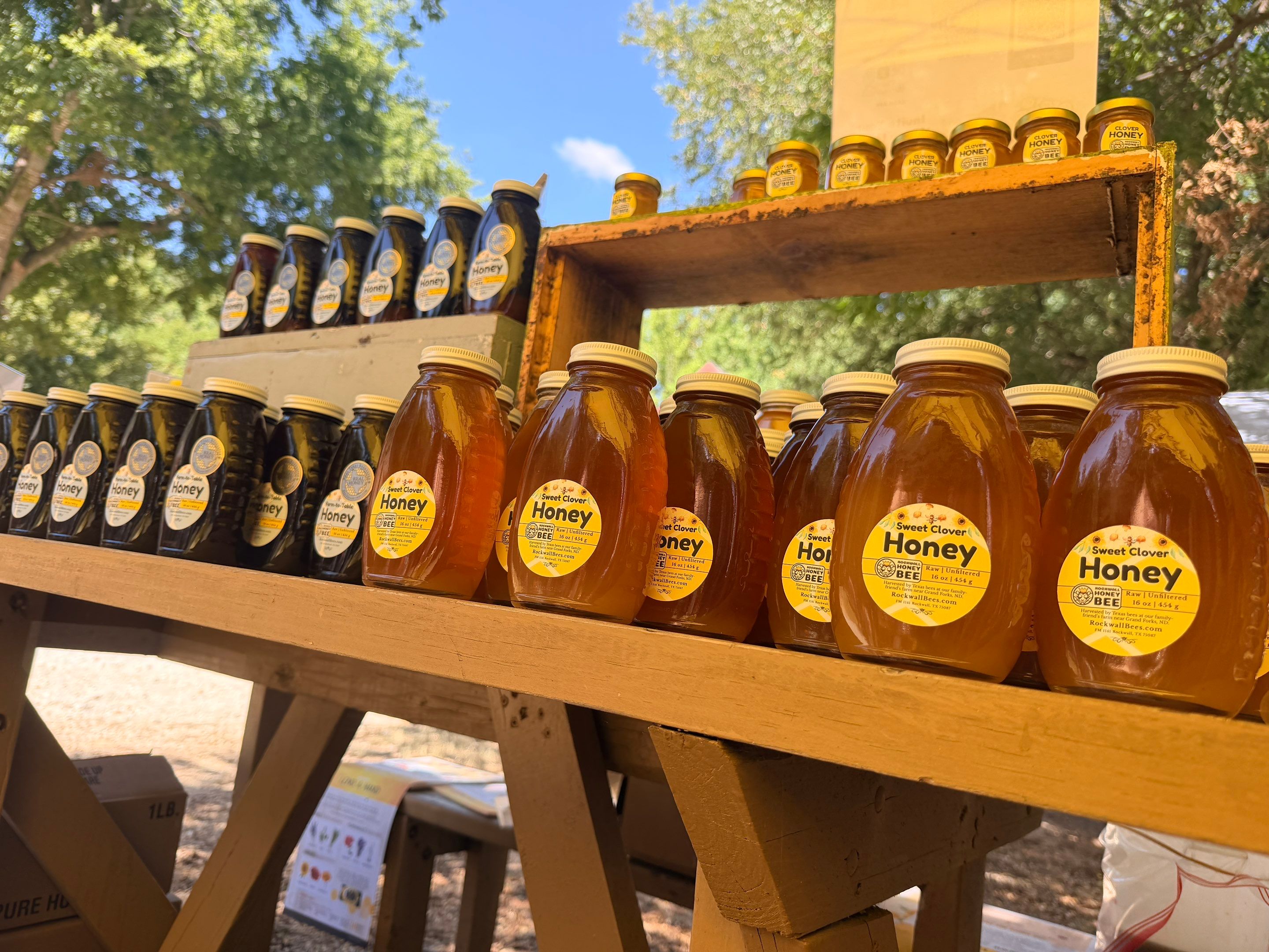 Texas Mead & Music Festival by Rockwall Honey Bee Company
