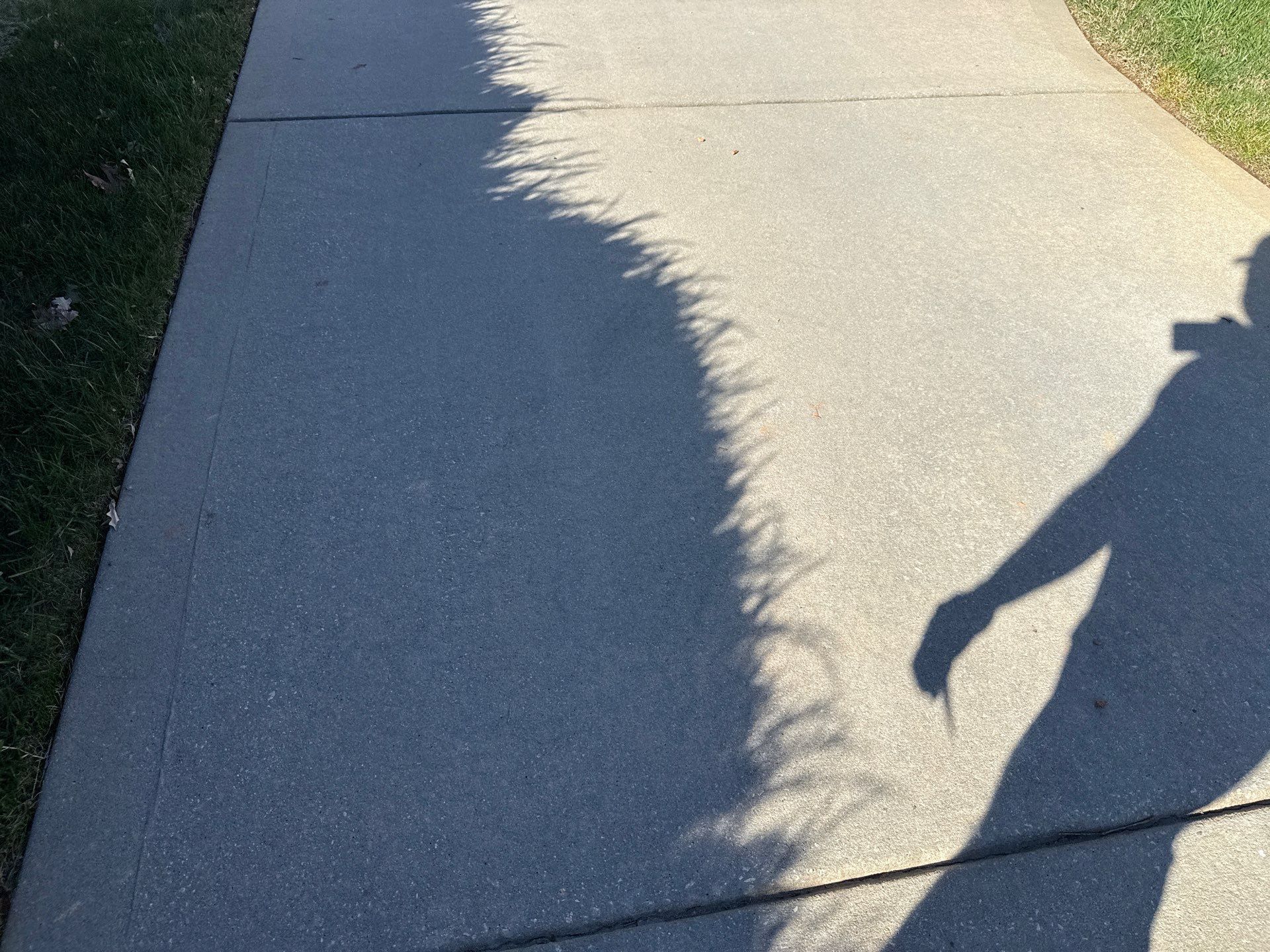 Project in Waxhaw by Badger Hauling