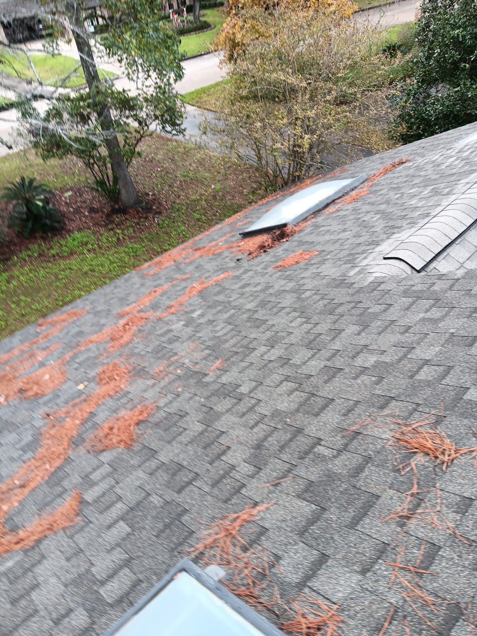Roof Repair Spring by Roof Repair Company