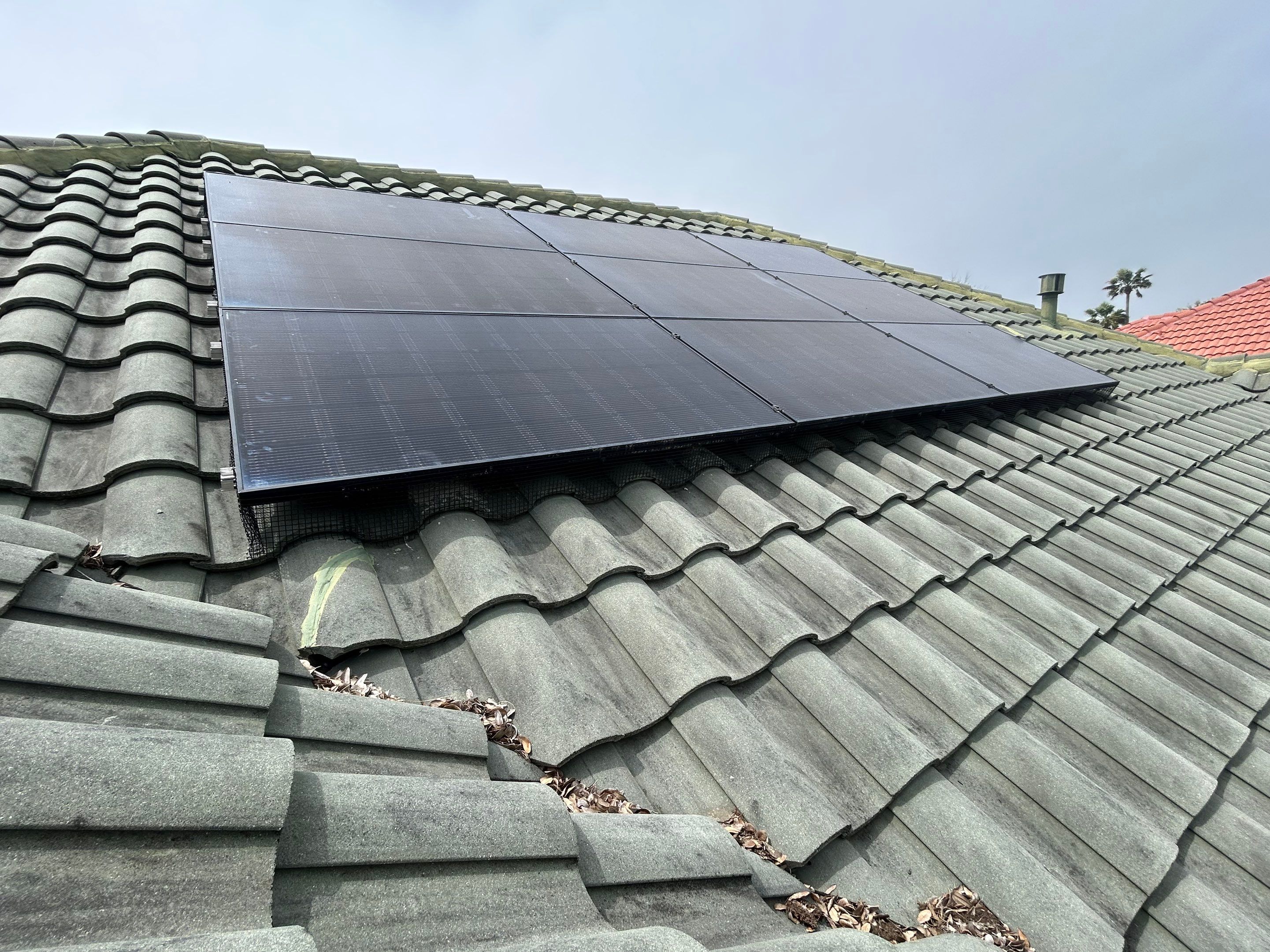 Solar Squirrel Defense System Installation by Gulf Solar Services