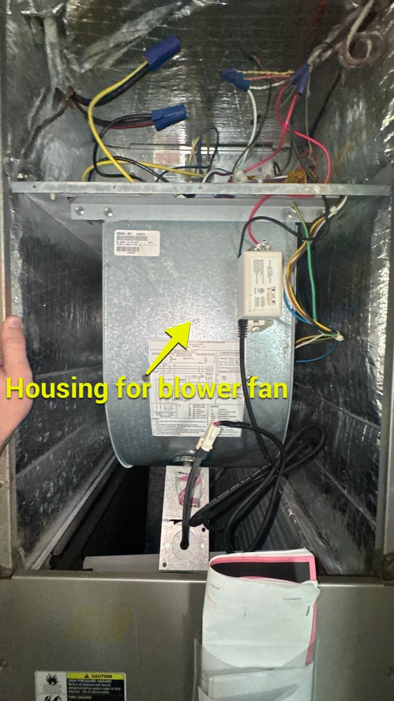 Air Duct Cleaning in Minneola by Hygienic Air, Inc