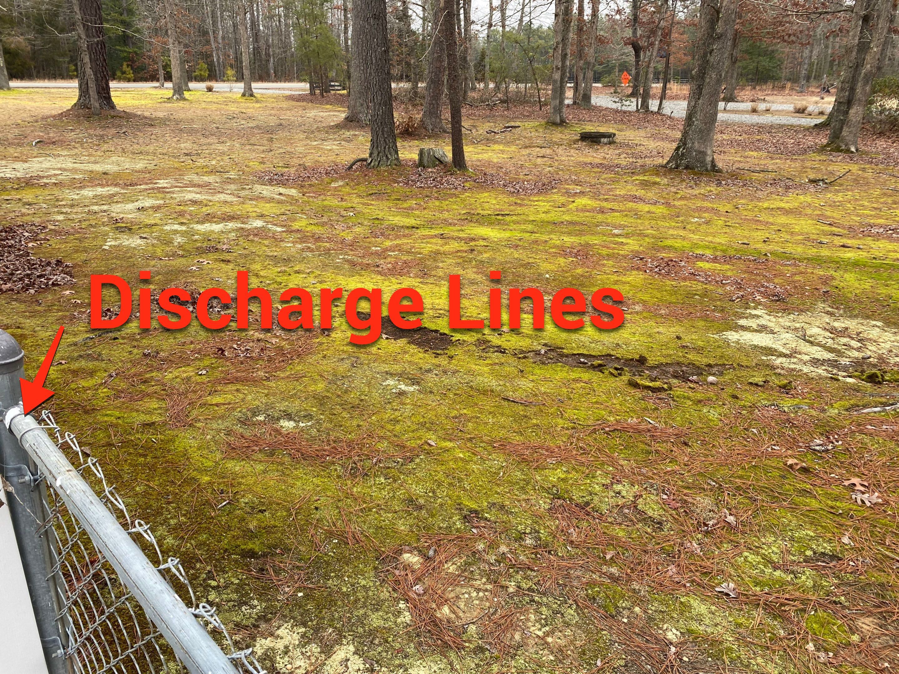 Ogle crawlspace by The Property Doctor, LLC