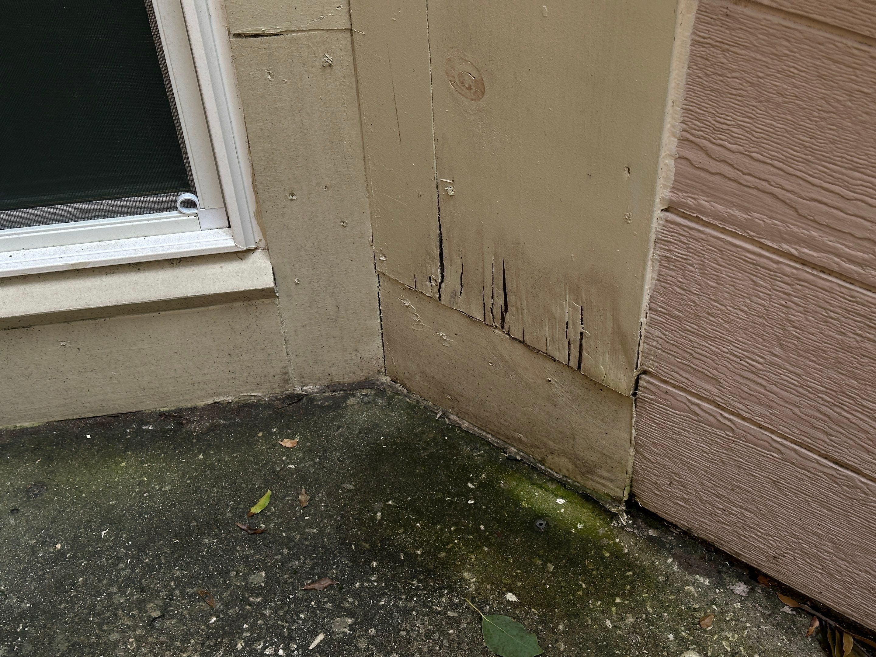 Hurricane Damage Claim in Tampa by FLAPA & KeyStone