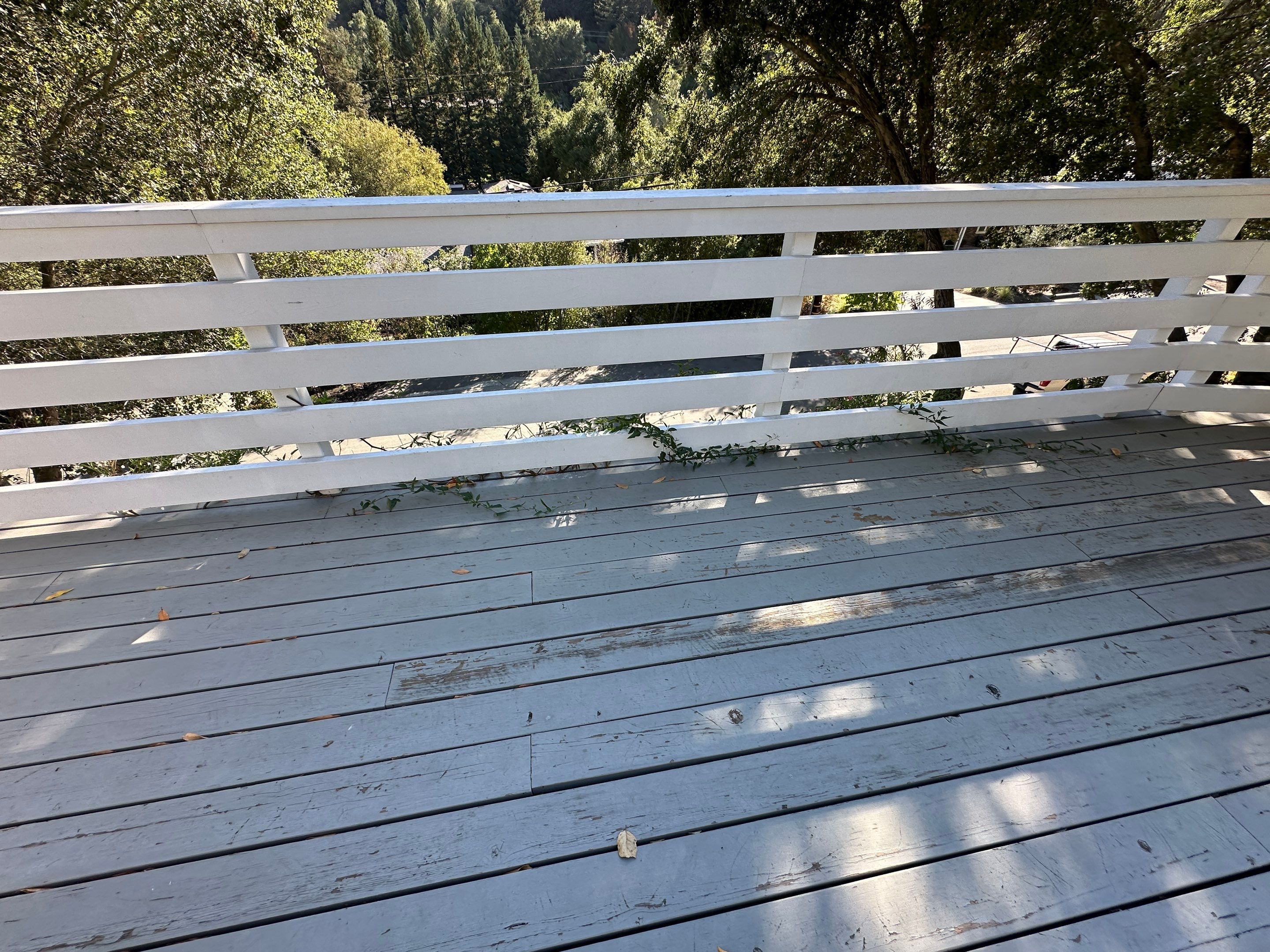 Deck Repaint using Sherwin-Williams by Herrera’s Bay Area Painting inc.