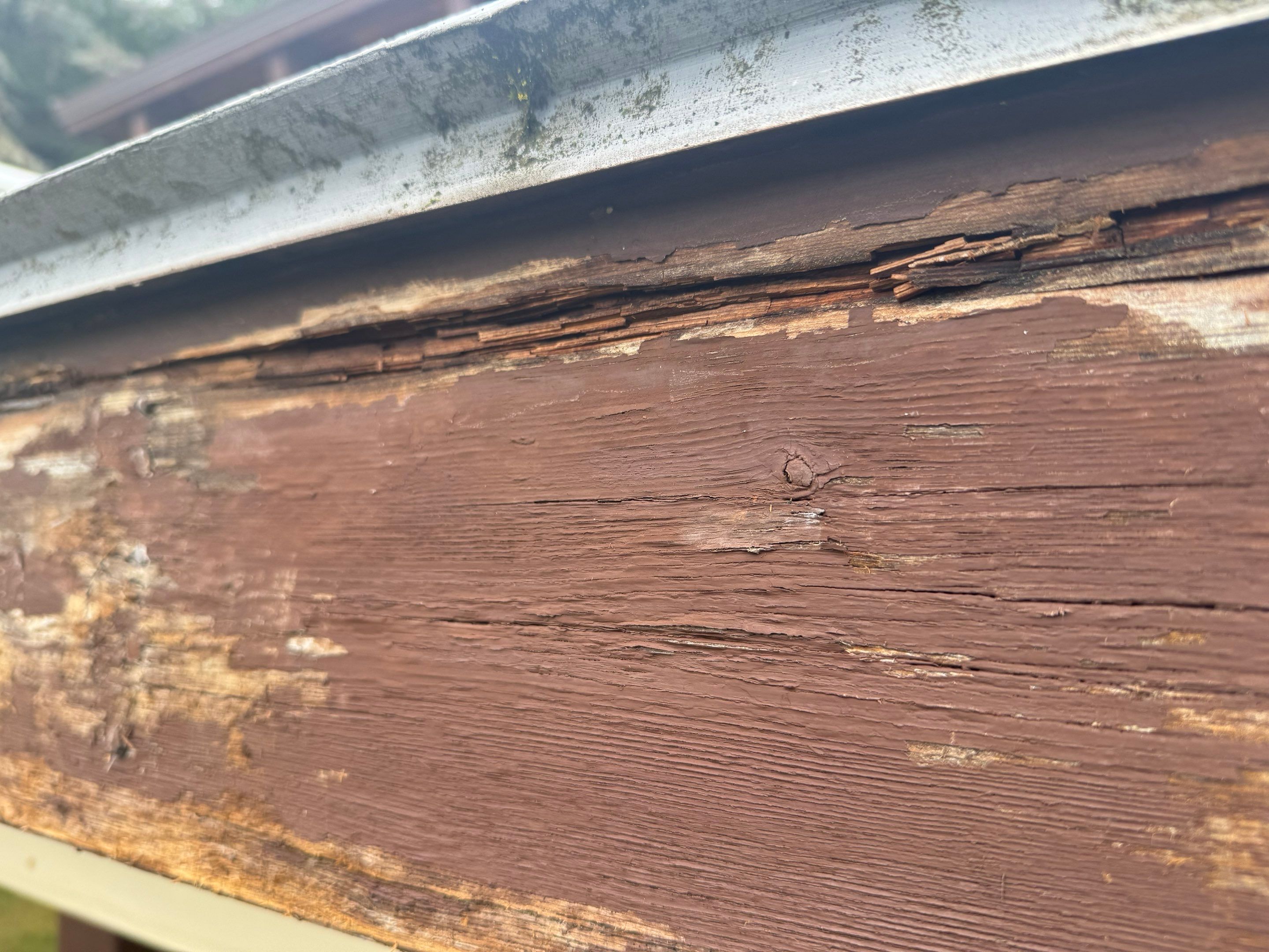 Exterior Window Trim Painting In North Vancouver  by YVR Construction Group