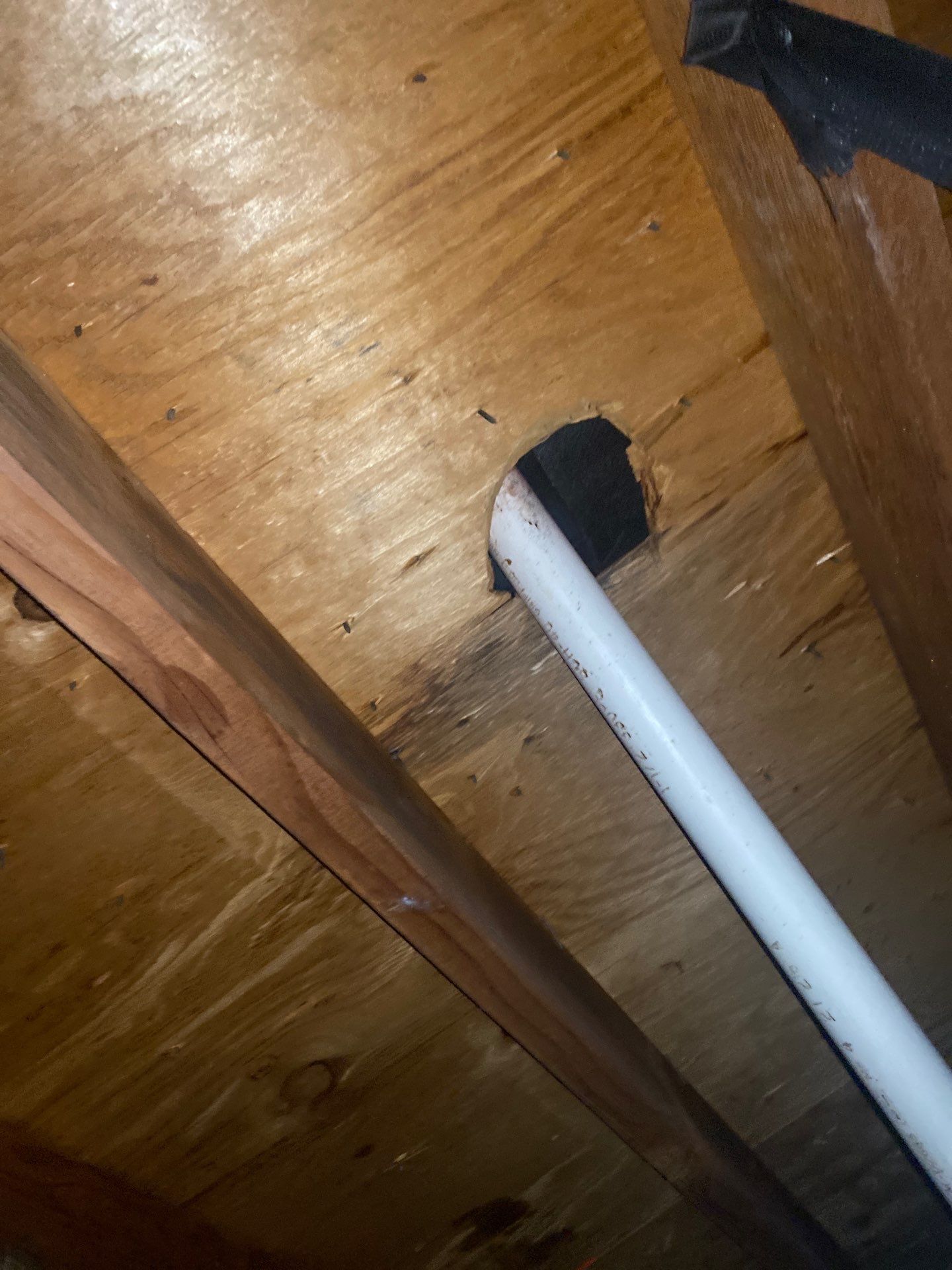 Hail Damage using Owen's Corning Duration (Lifetime) Shingles by Roof Repair Company