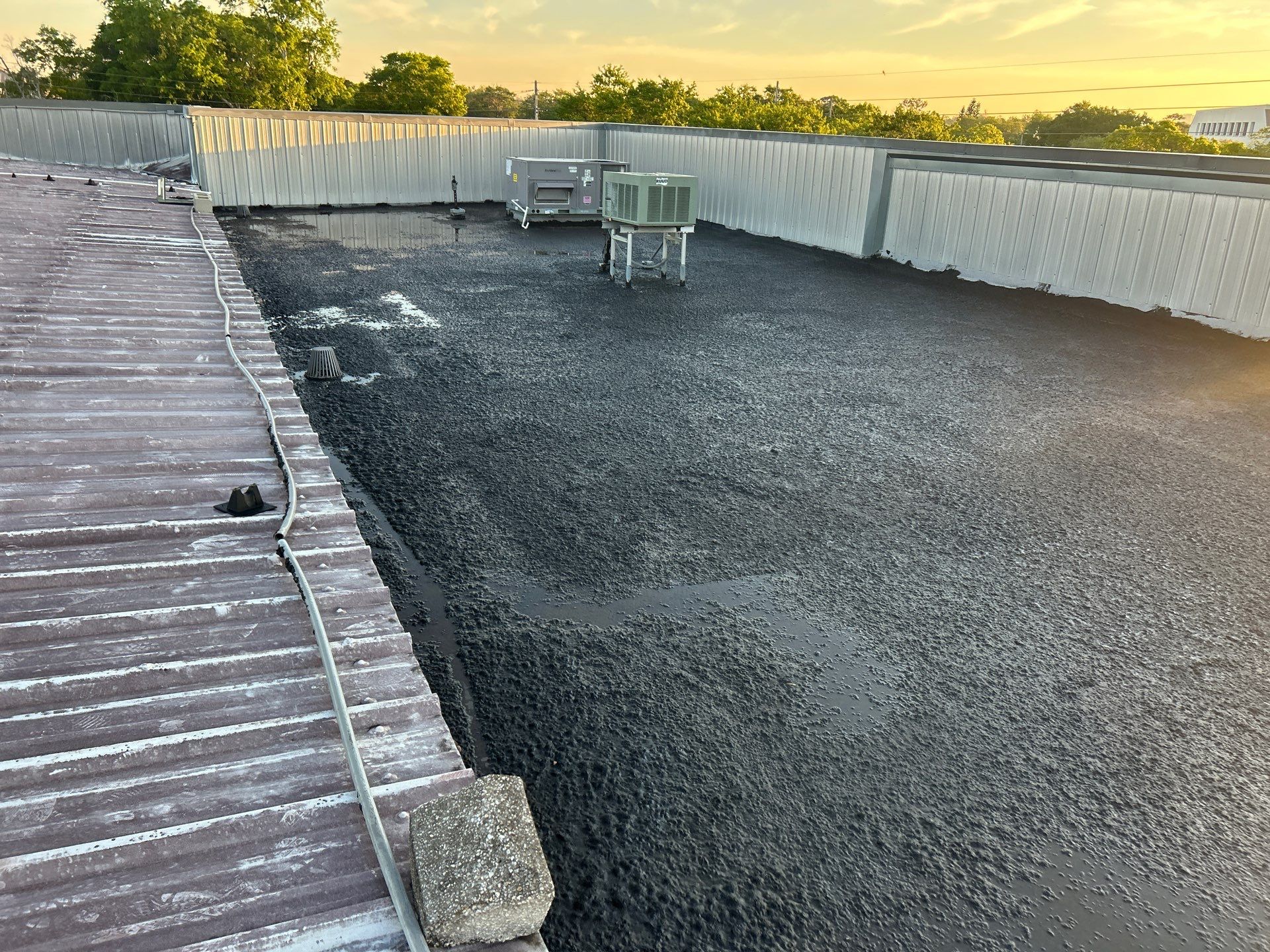 Bethel Temple of Jesus by Fiddlers Roofing