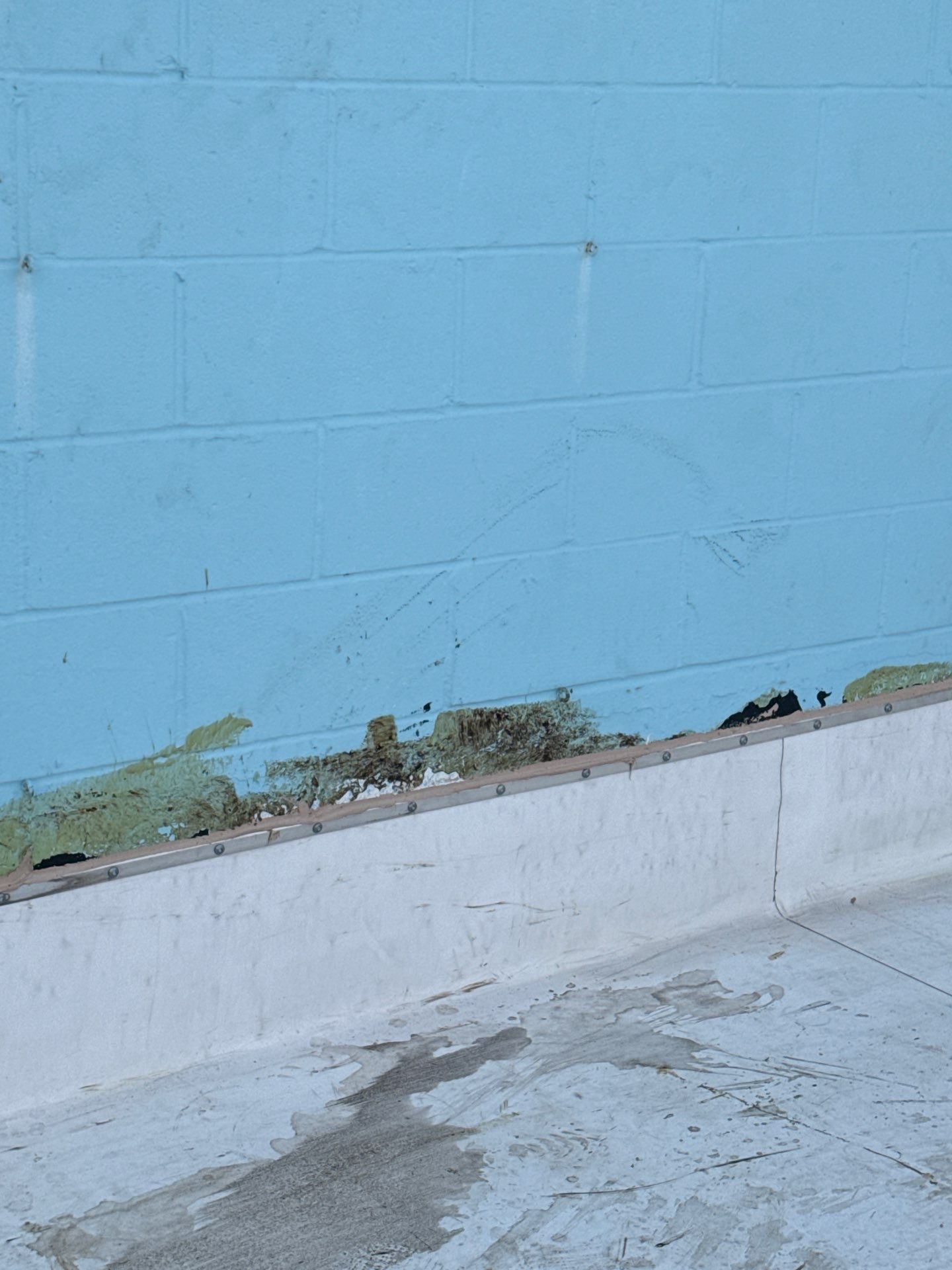 Persistent Leaks  by Bayfront Roofing and Construction