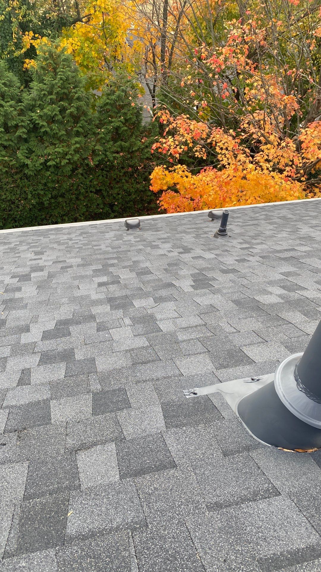 Alexandria: Residential Roof Replacement with CertainTeed Landmark Pro Designer Shingles in Max Def Moire Black by RM Banning, Inc.