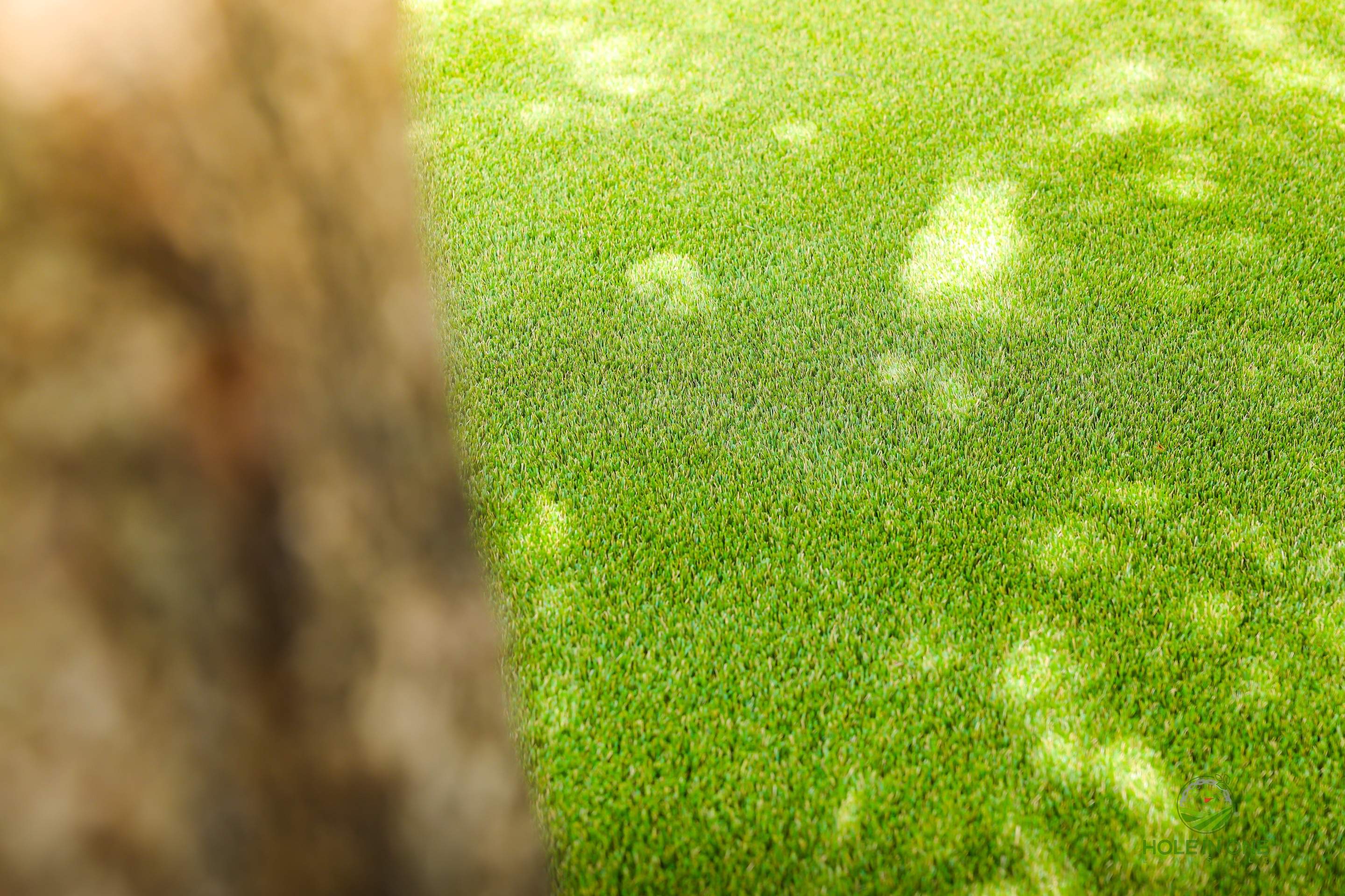 Wortham Oaks, San Antonio Tx. by Hole In One Lawns, LLC