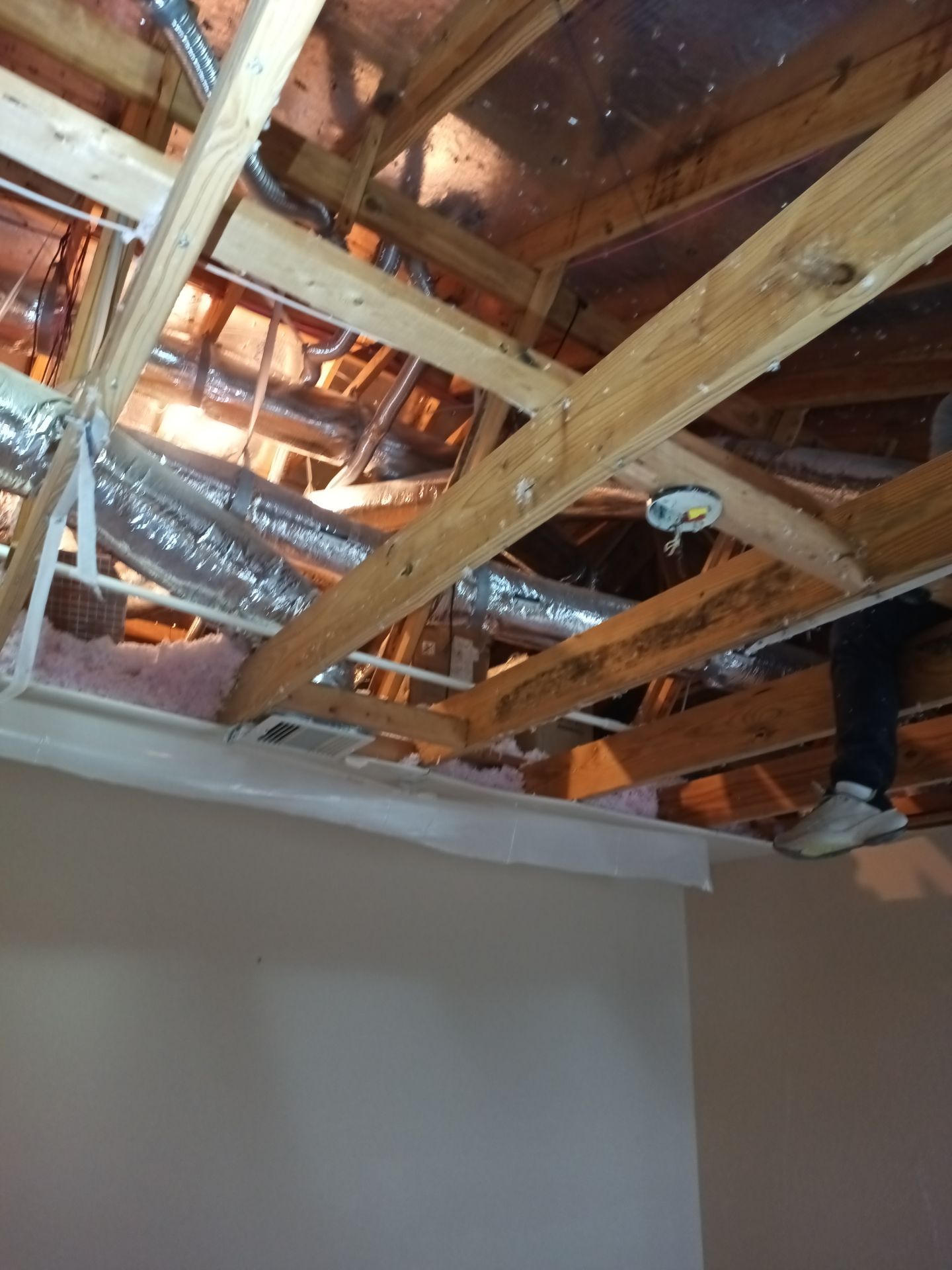 Mold Remediation Job in Katy by Team Home Solutions