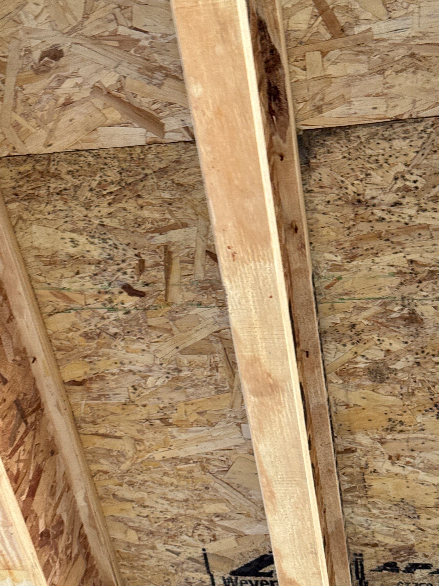 Janesville Mold Remediation and Antimicrobial Treatment for Residential Construction by Dry Source Property Restoration 