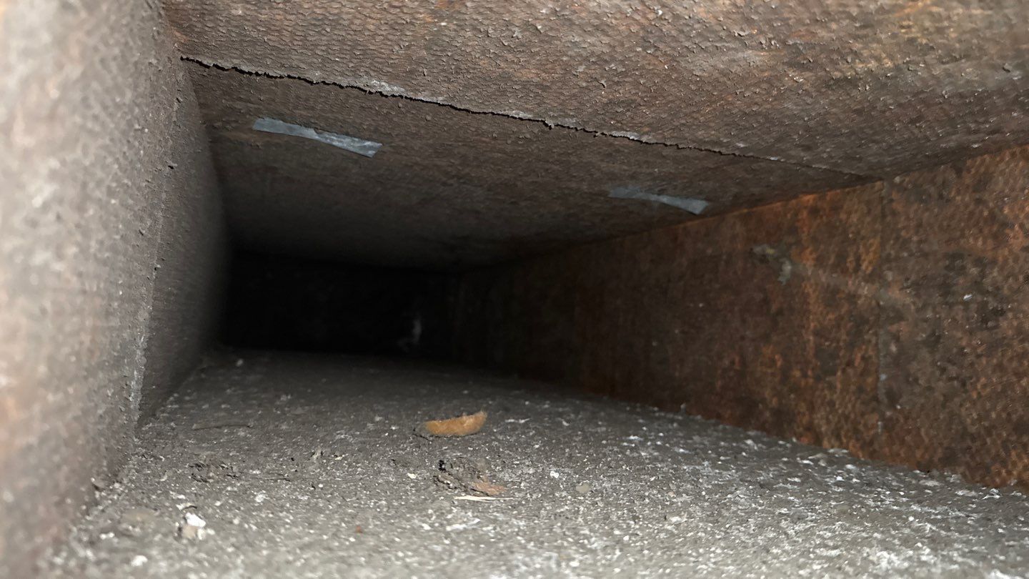 Extremely Dirty Air Duct Cleaning in Fruitland Park by Hygienic Air, Inc