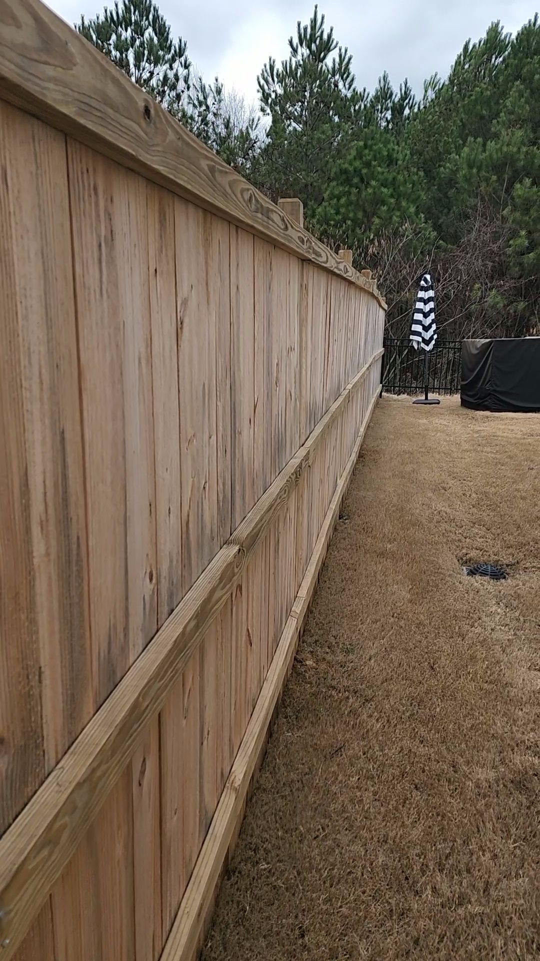 Fence Staining using Cape Cod Grey by SSE by Titans of Timber Fence & Stain