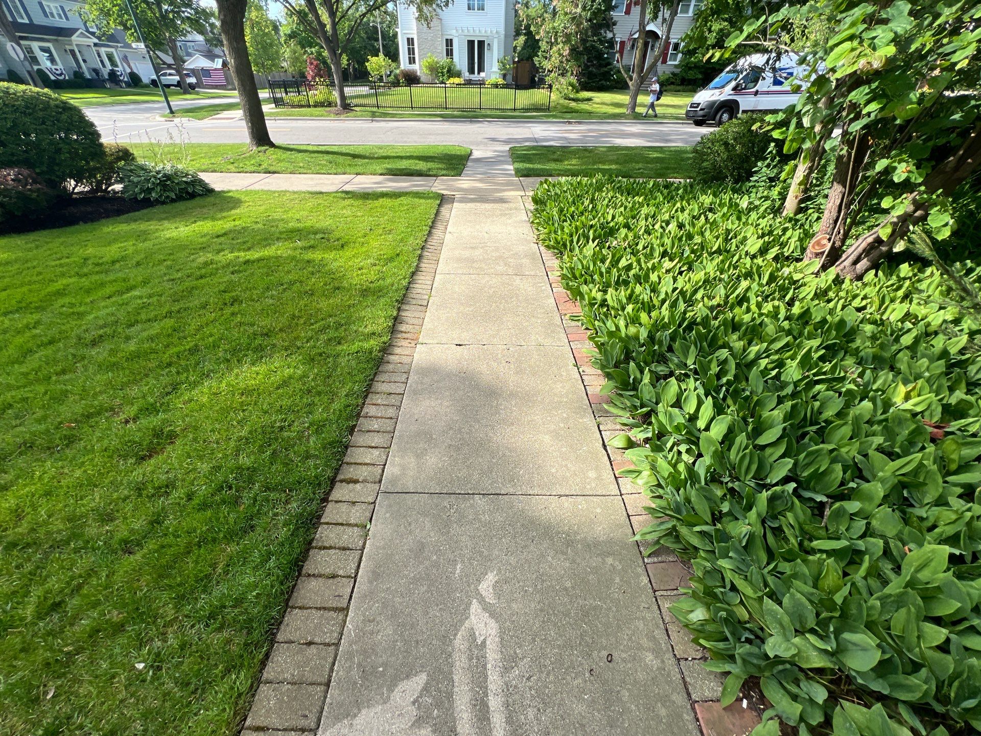concrete cleaning using Algaecide, soft wash soap by Northern Power Washing LLC.