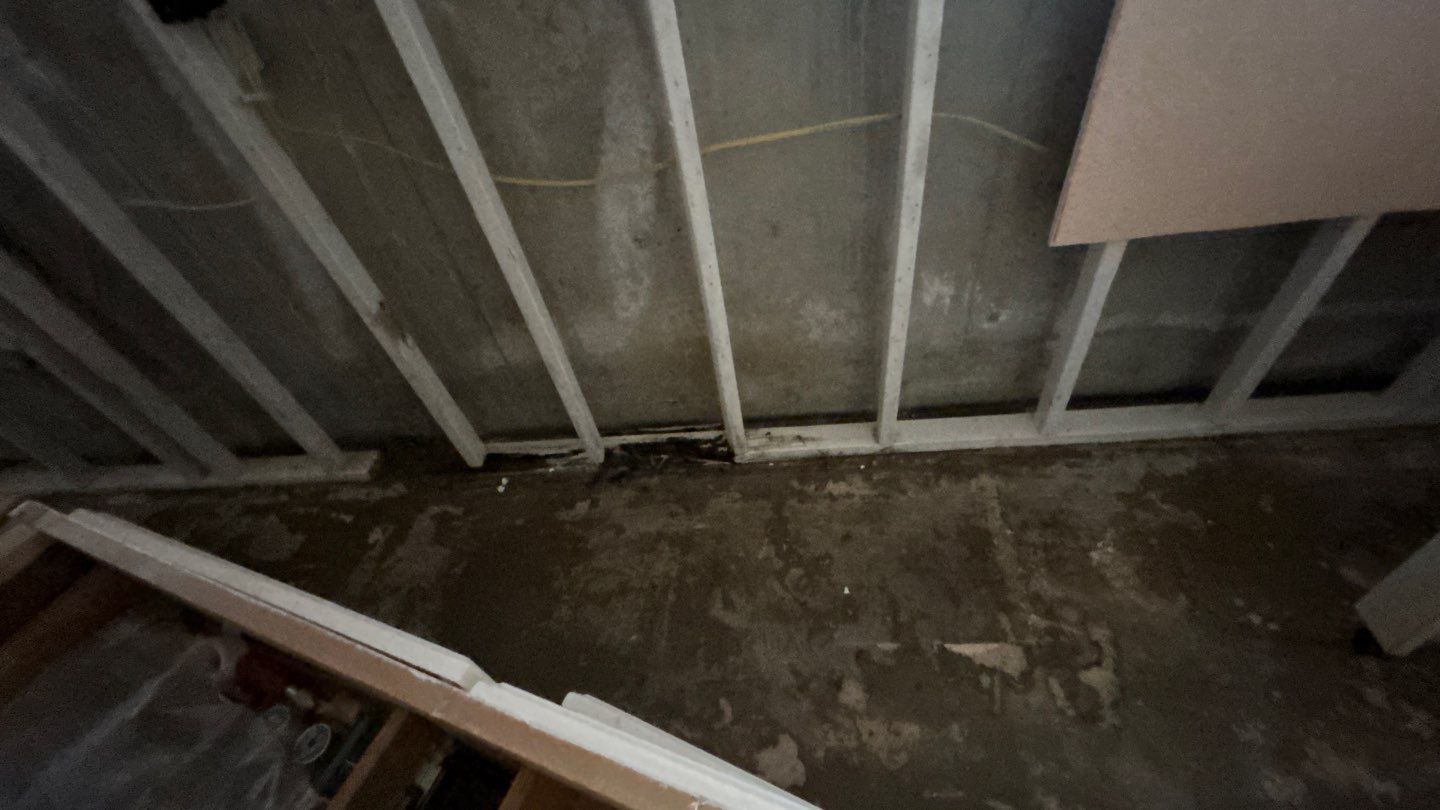 Water Damage Project in Conifer by Accountable Home Services
